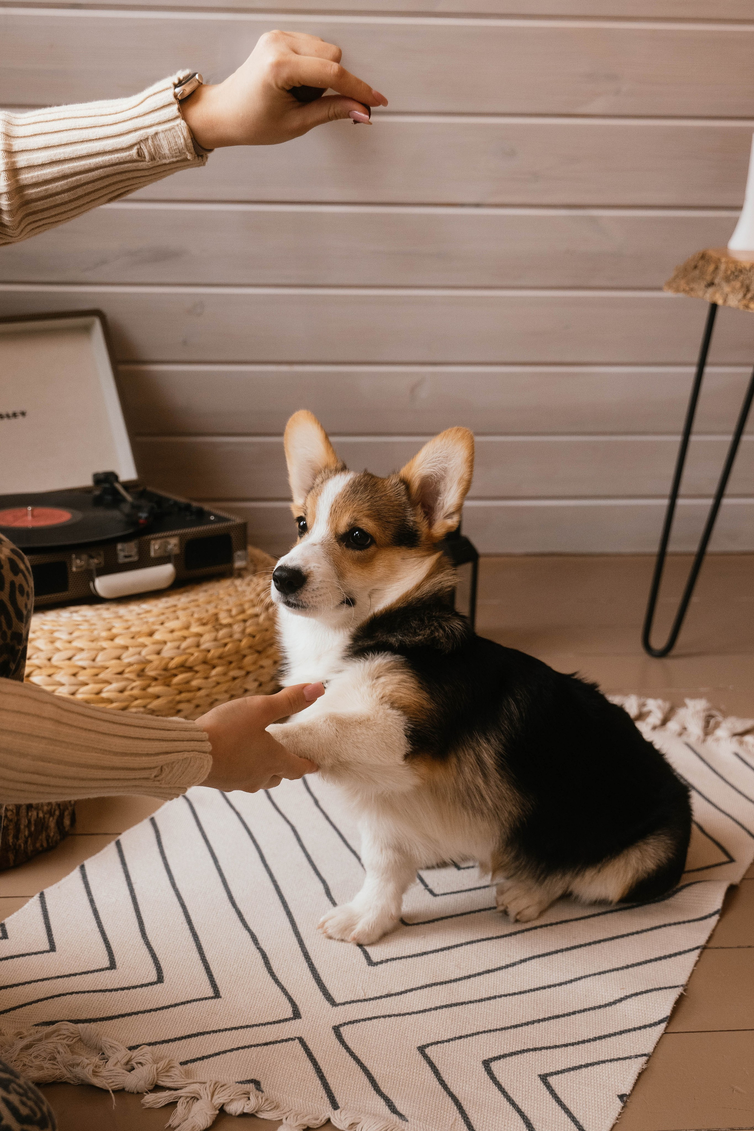 Вика, Коля, Лера, Ева и Вестар. Свадебный, семейный фотограф в Рязани Лена Брант