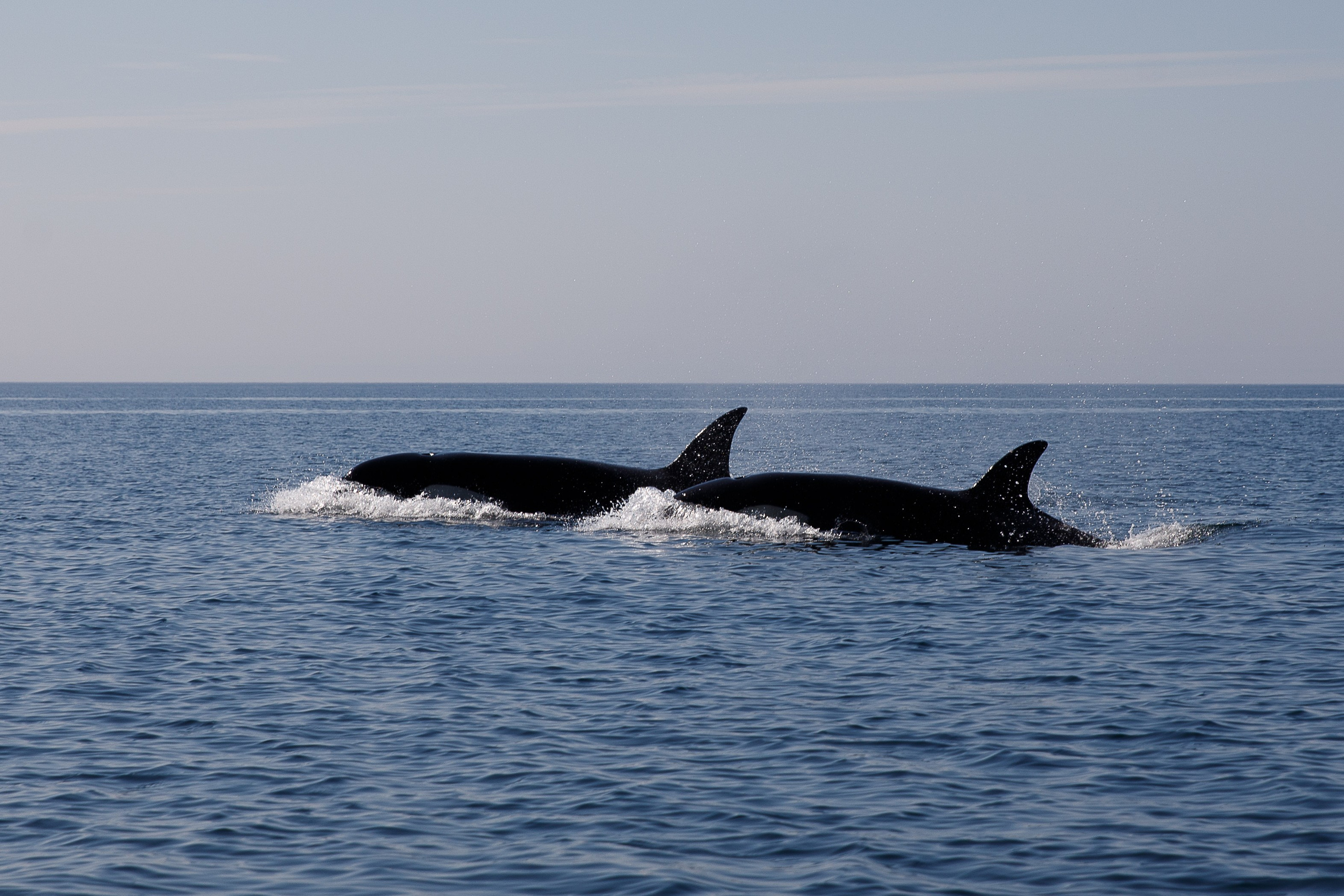 Сахалин. Маяк Анива. Репортажный и портретный фотограф Русакова Жанна