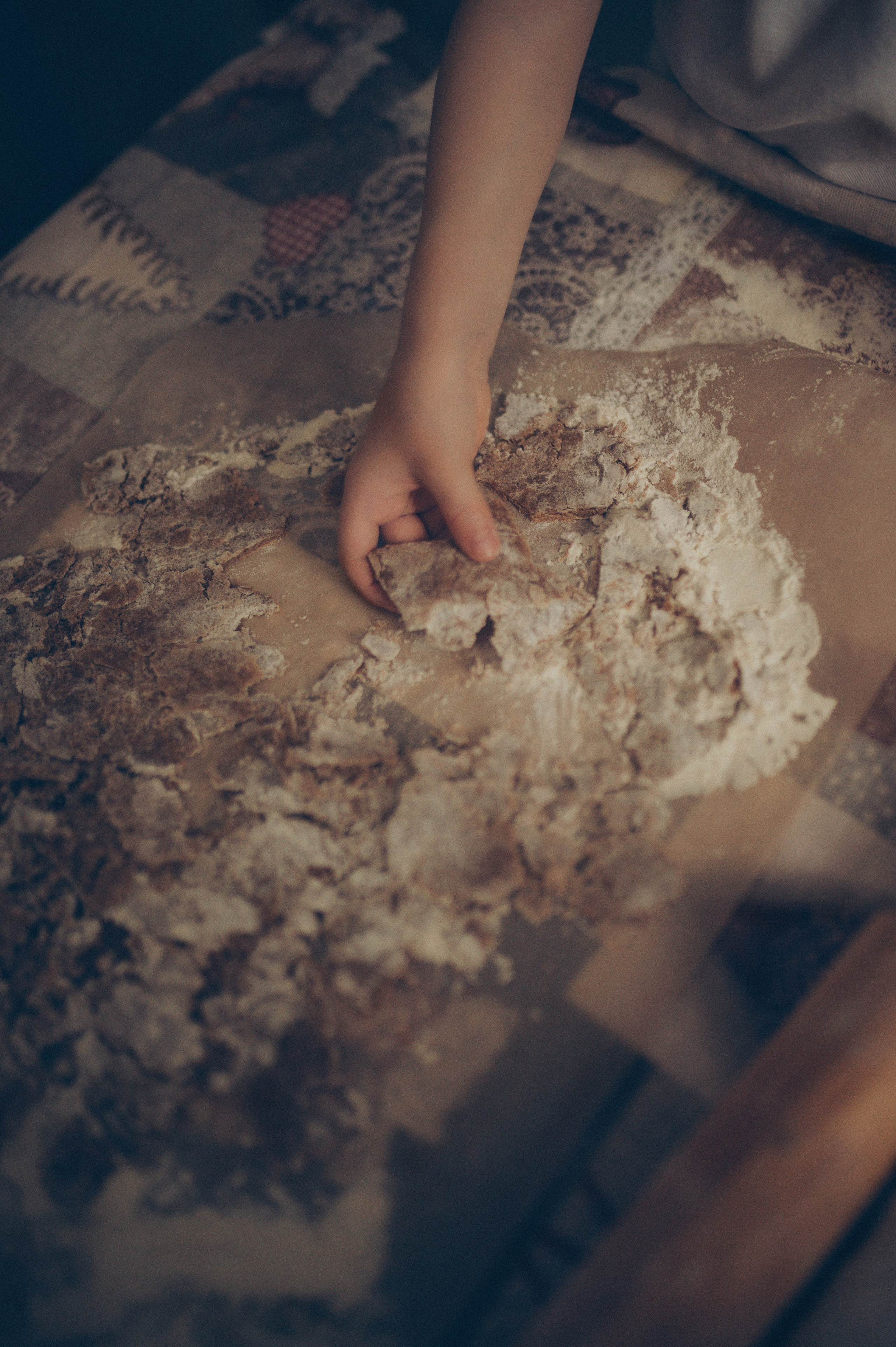 Поворята Миша и Тимофей (домашняя). Фотограф, г. Лесной Свердловской области