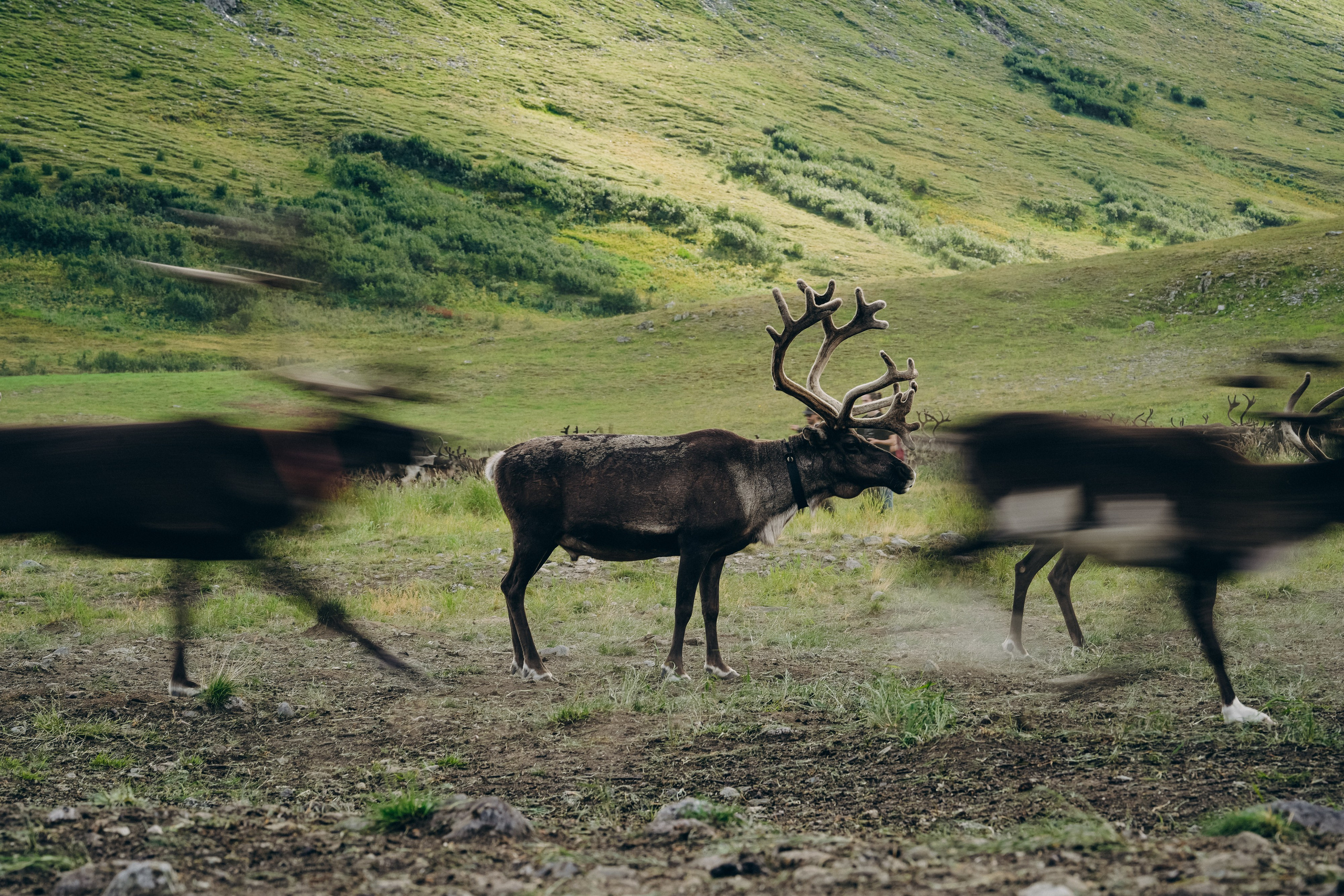 Репортаж. Николай Филиппов Event & Concert Photographer Москвf