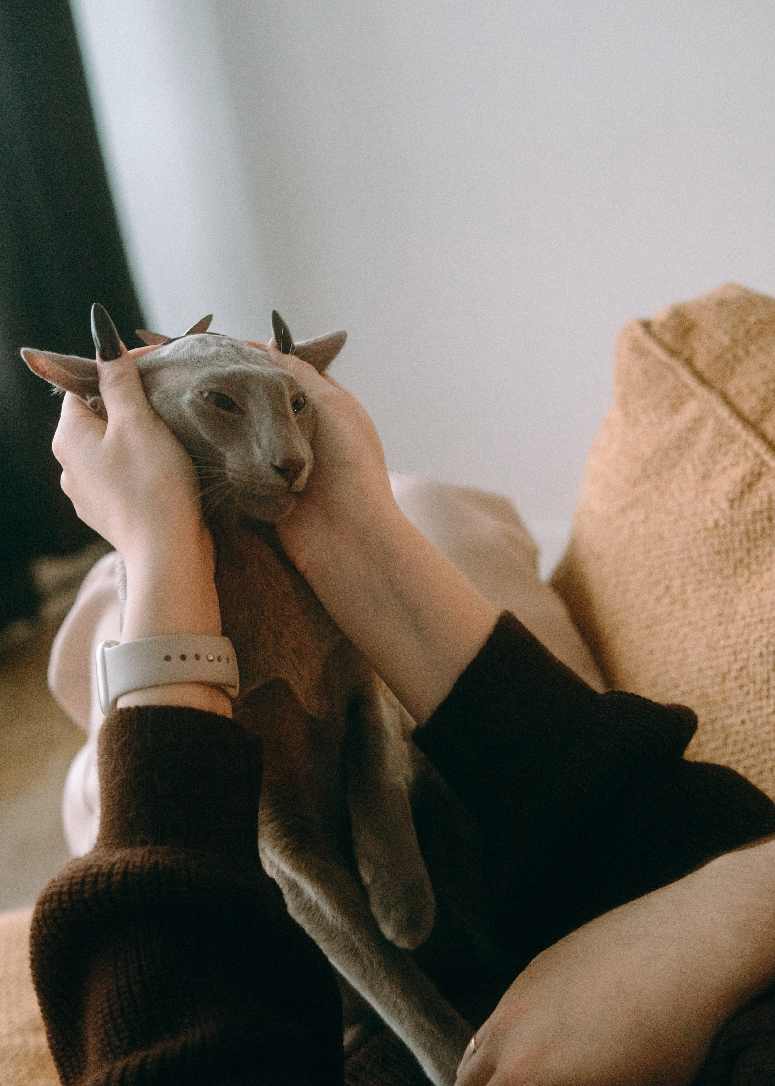 Амина, Булат и Орион. Фотограф-анималист Ксения Воробьева, Москва