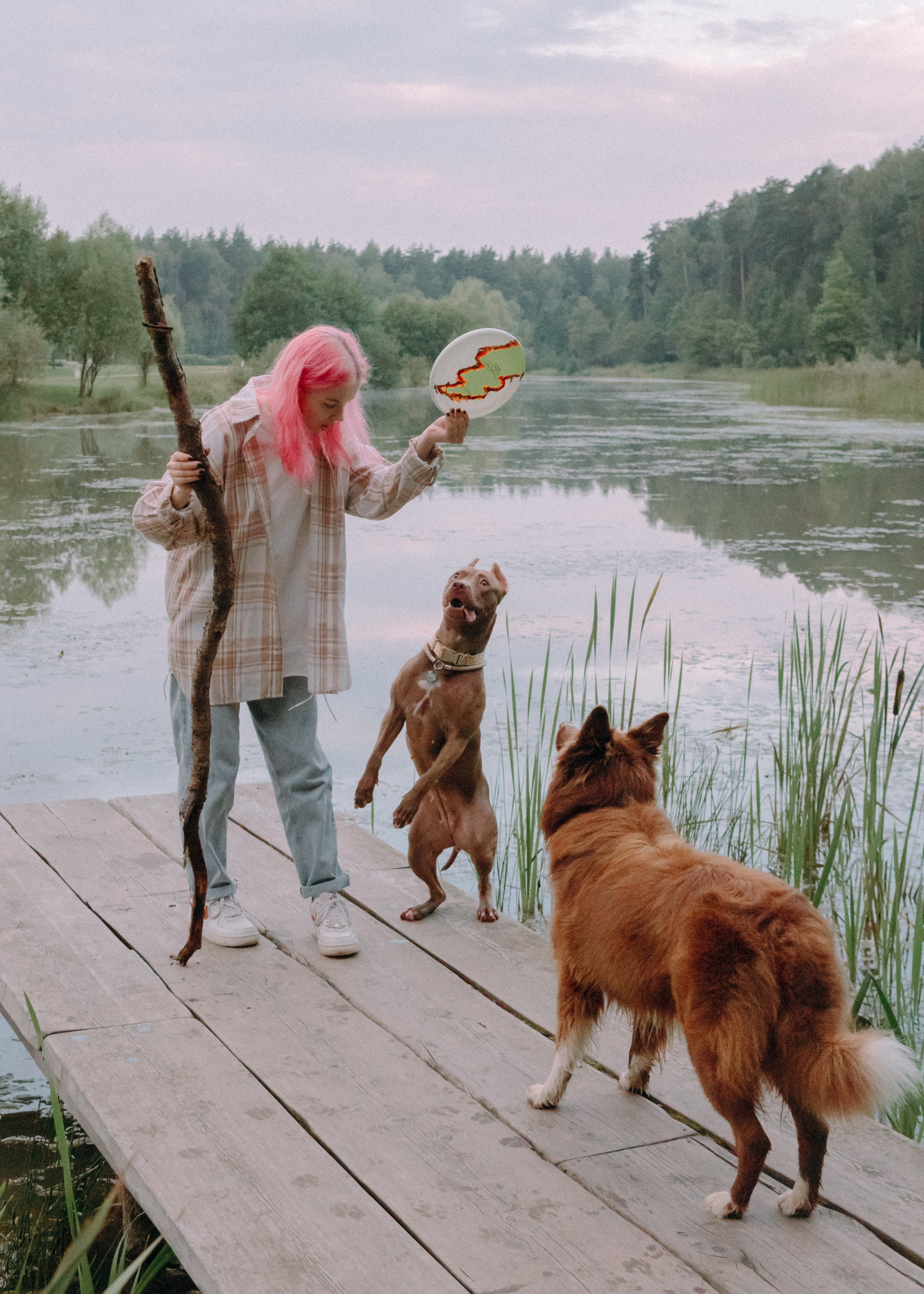 Виолетта, Лила и Питер. Фотограф-анималист Ксения Воробьева, Москва