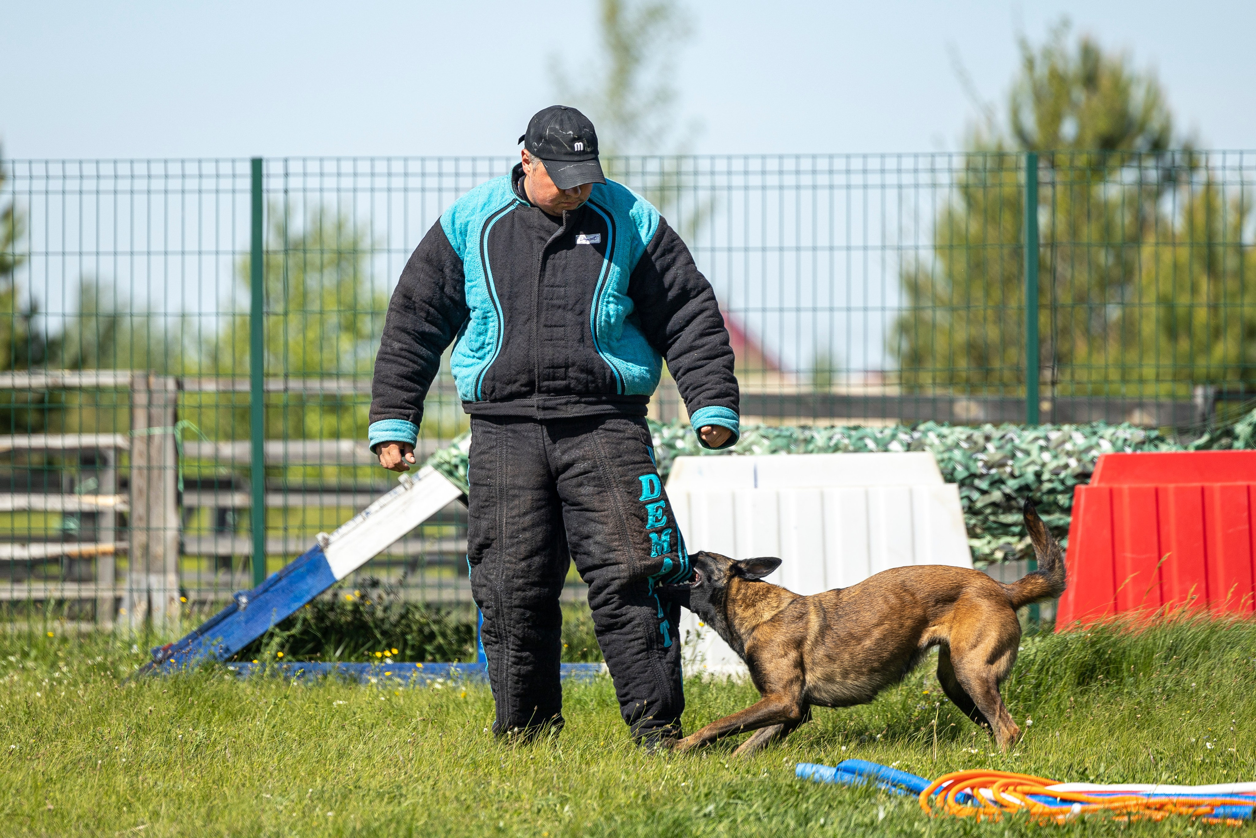 Испытания по мондьорингу в Нижнем Новгороде. Фотограф-анималист Анна Маринич