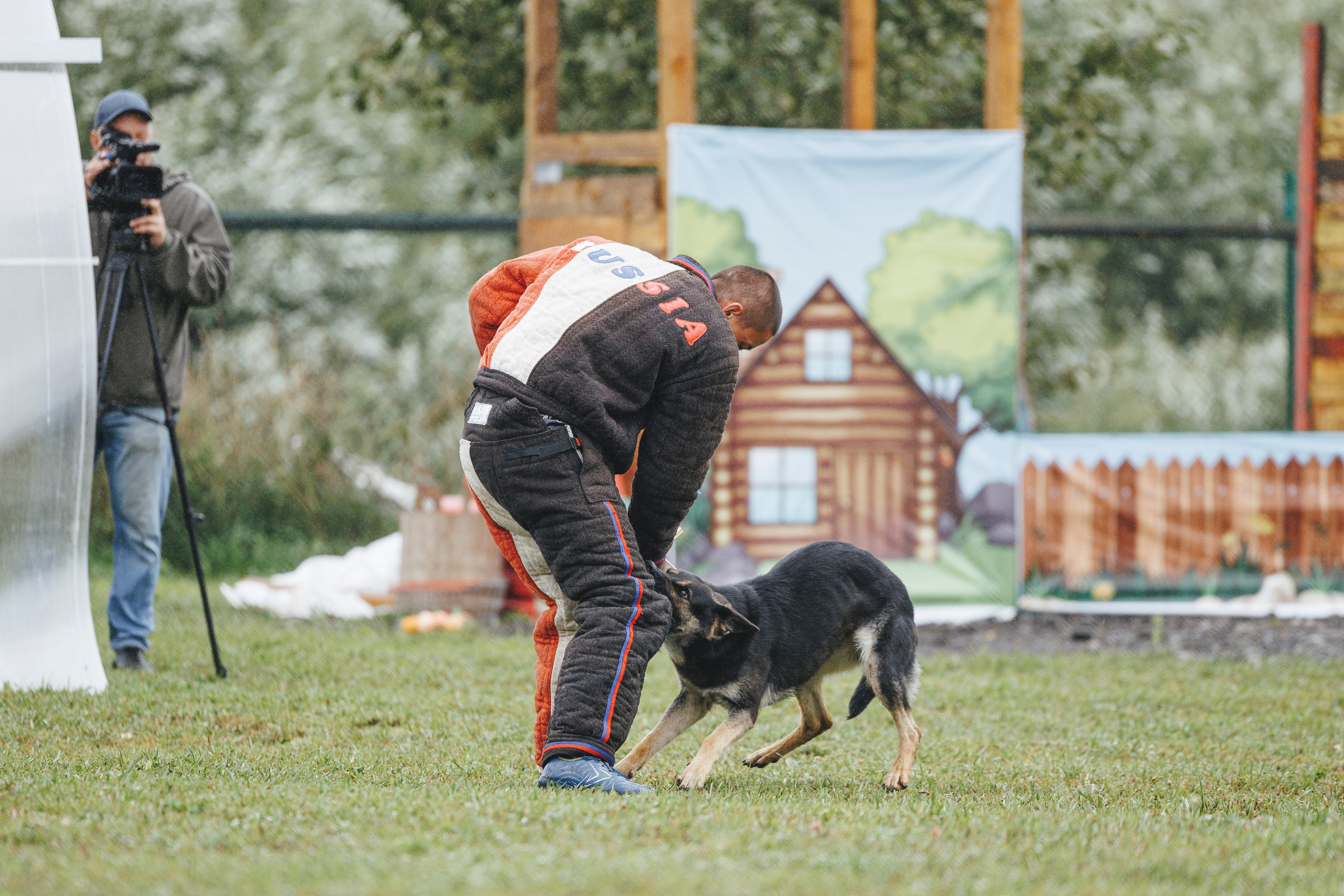 08.08.25-10.08.25 ЧР по мондьорингу г. Вологда. Фотограф-анималист Анна Маринич