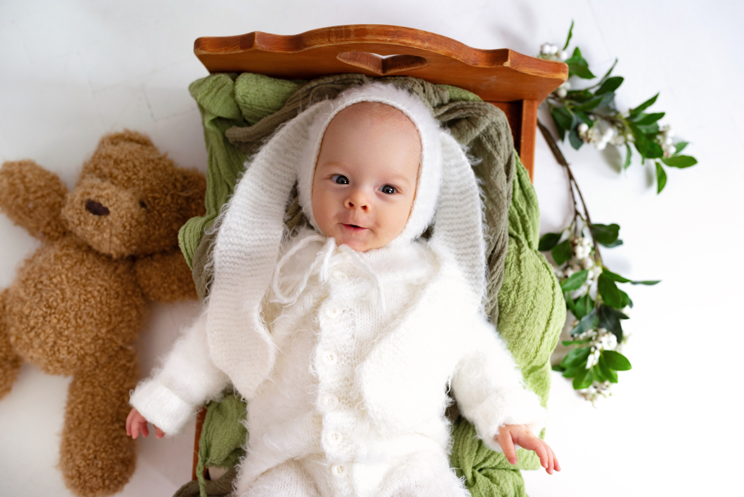 Лев (3 месяца)