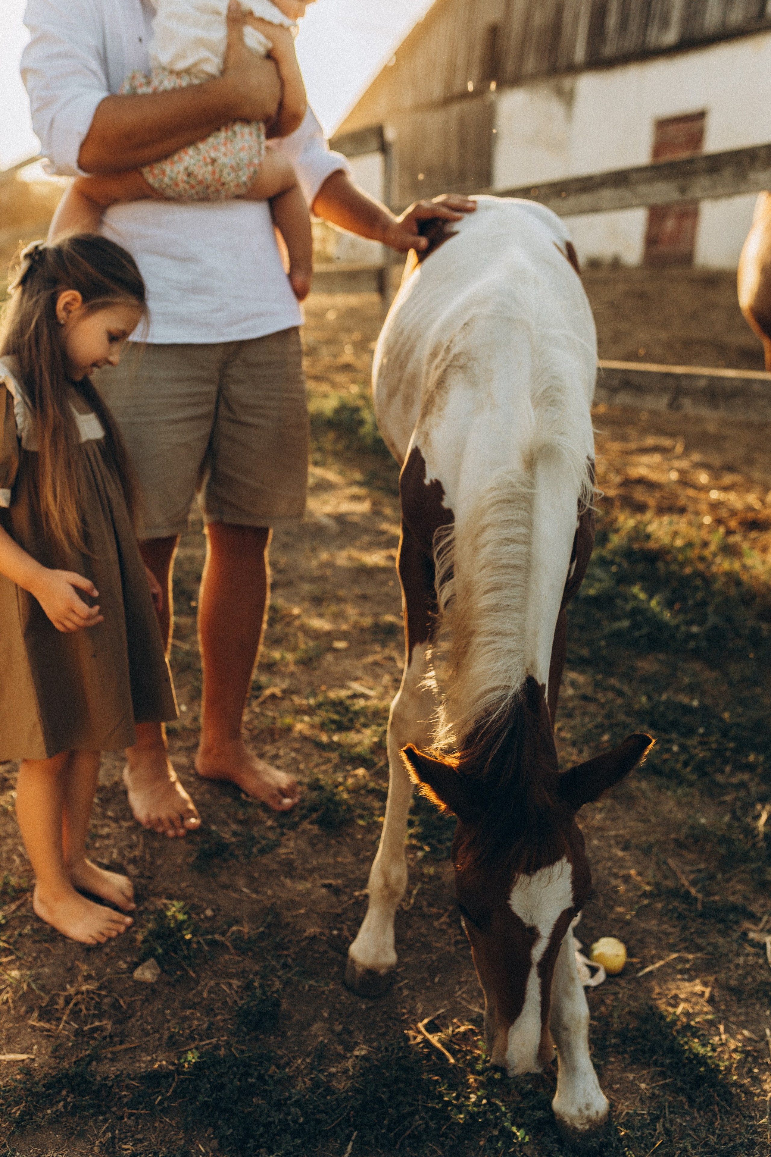 На ферме. Семейный фотограф в Новороссийске и Анапе Александра Яковлева