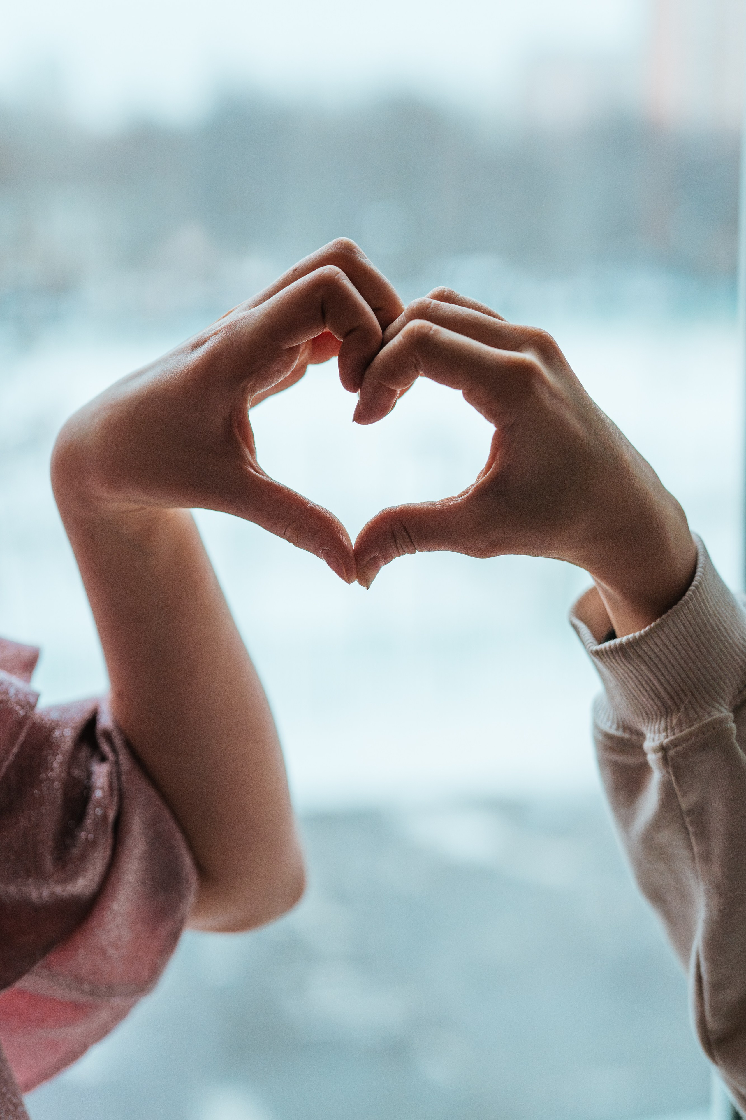 6 класс. Школьные альбомы и альбомы для детского сада. Юлия Осипова. Москва