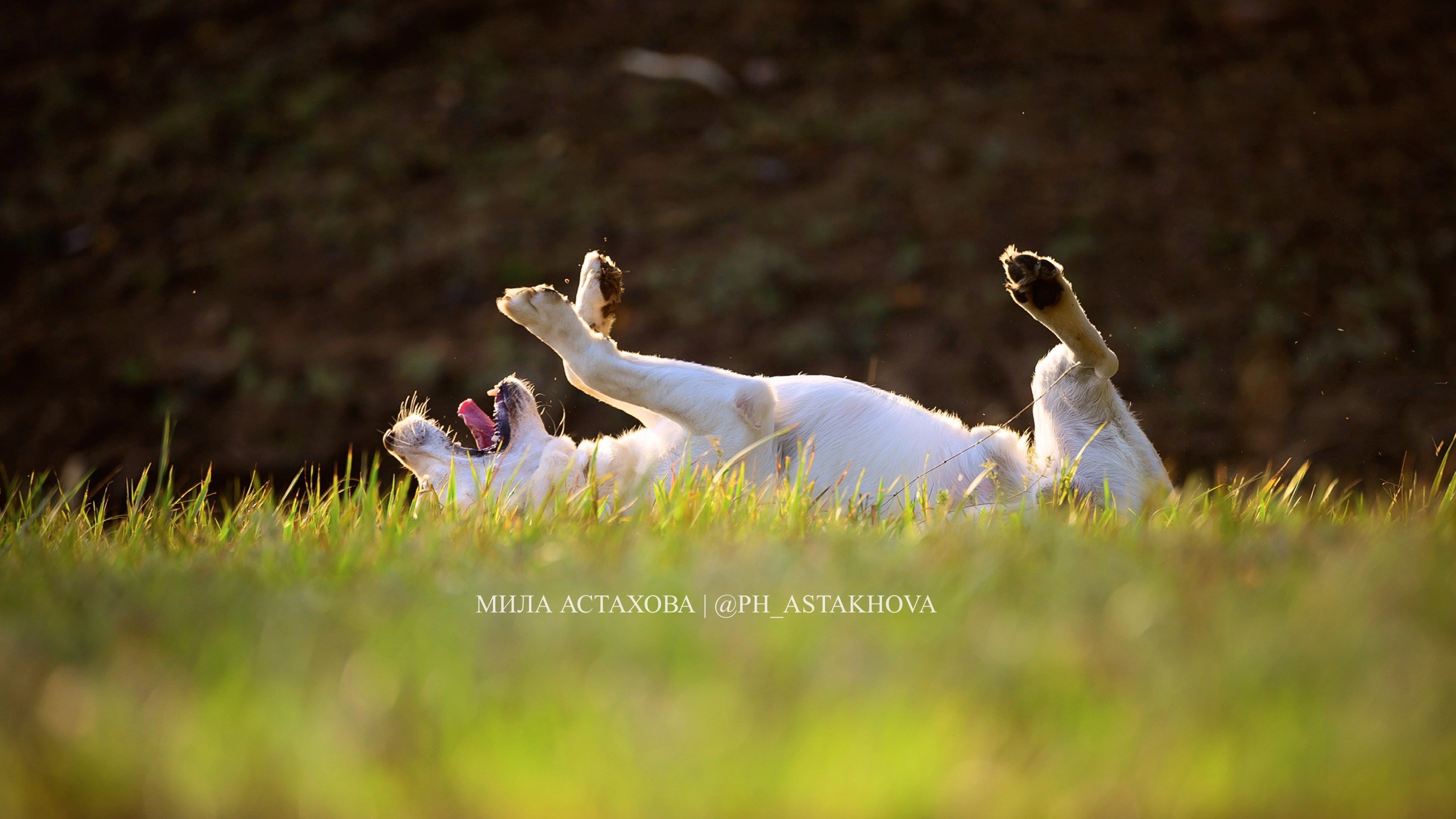 Бакс и Ирина. Мила Астахова