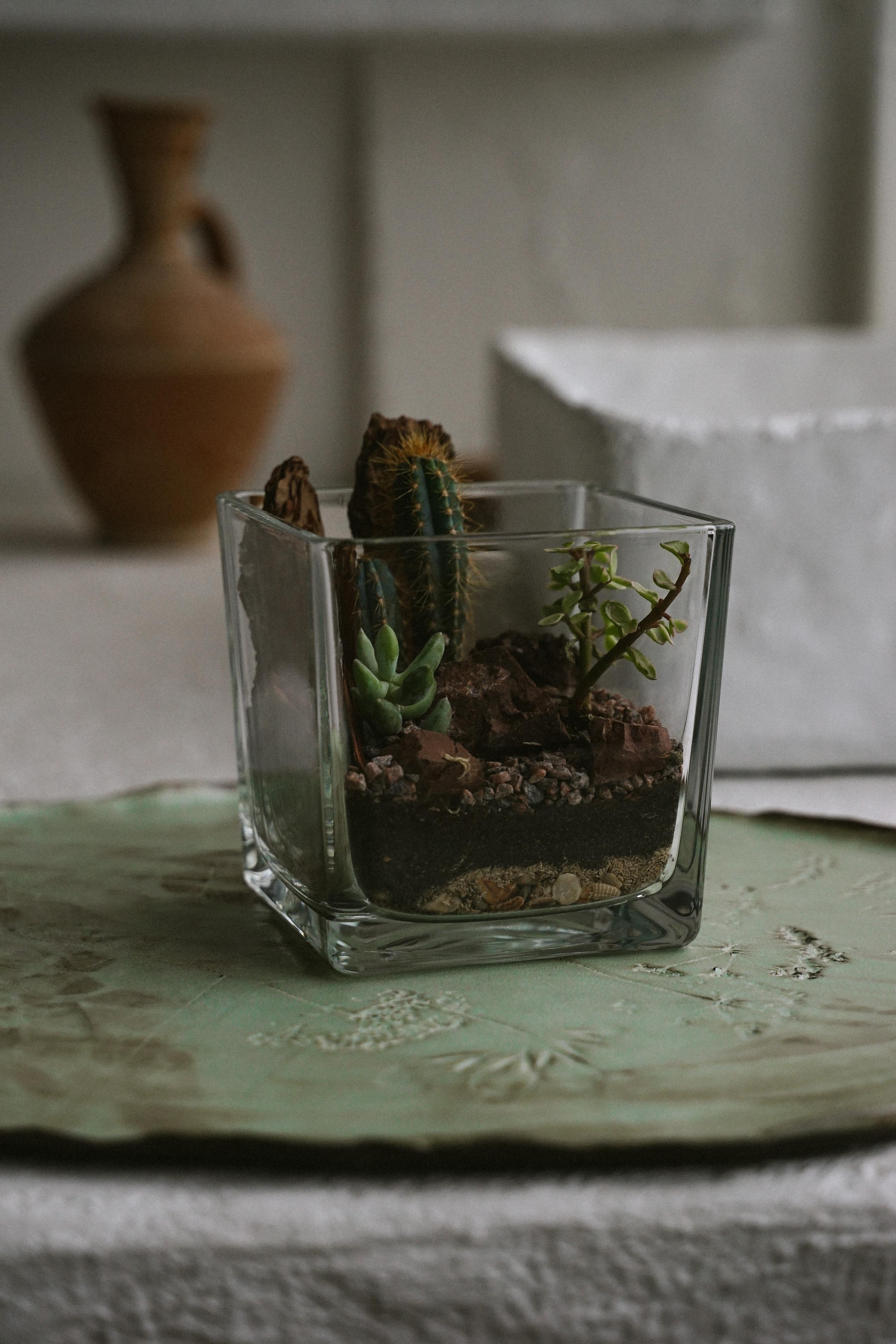 Florarium. Nadezhda Migunova, Photographer