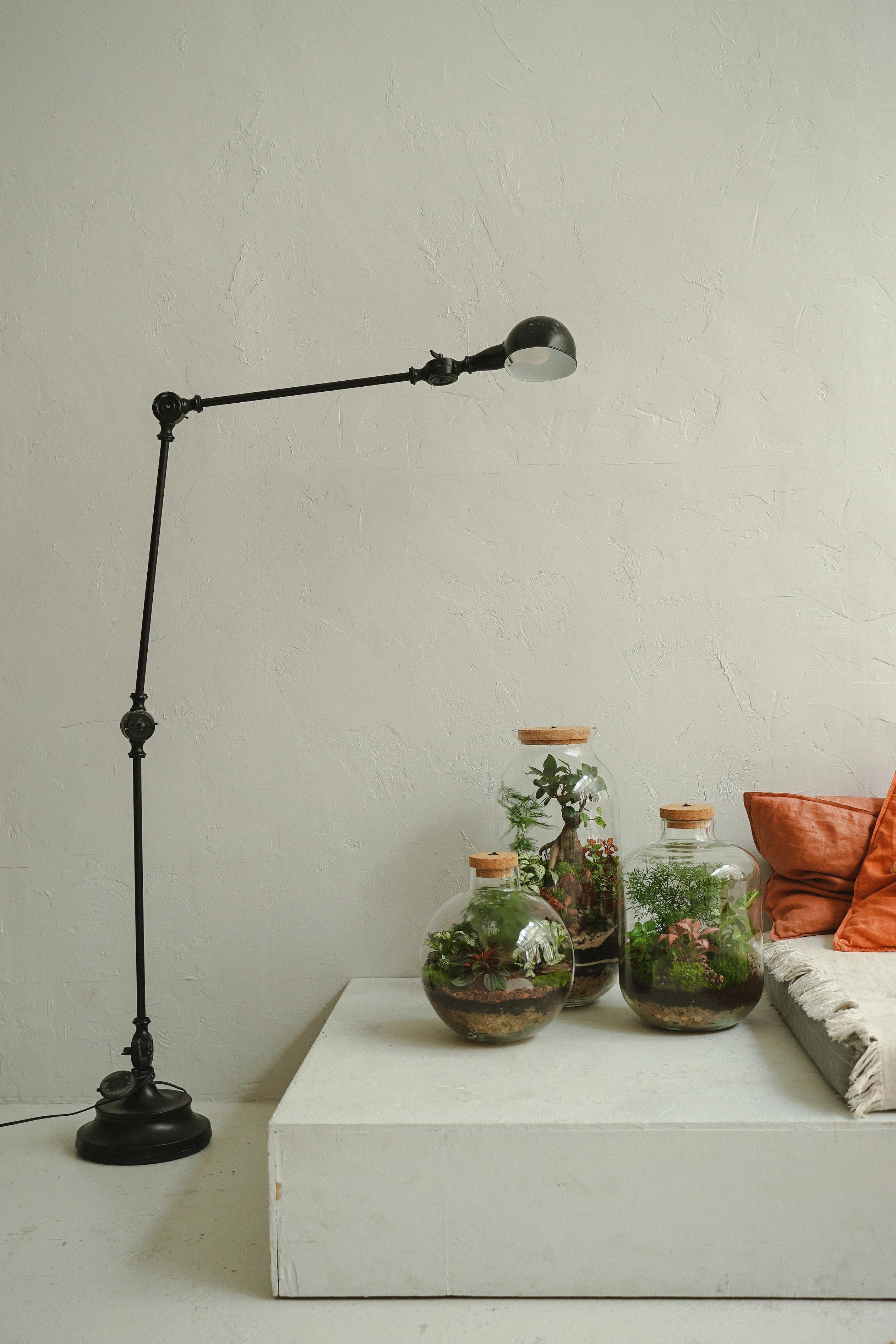 Florarium. Nadezhda Migunova, Photographer