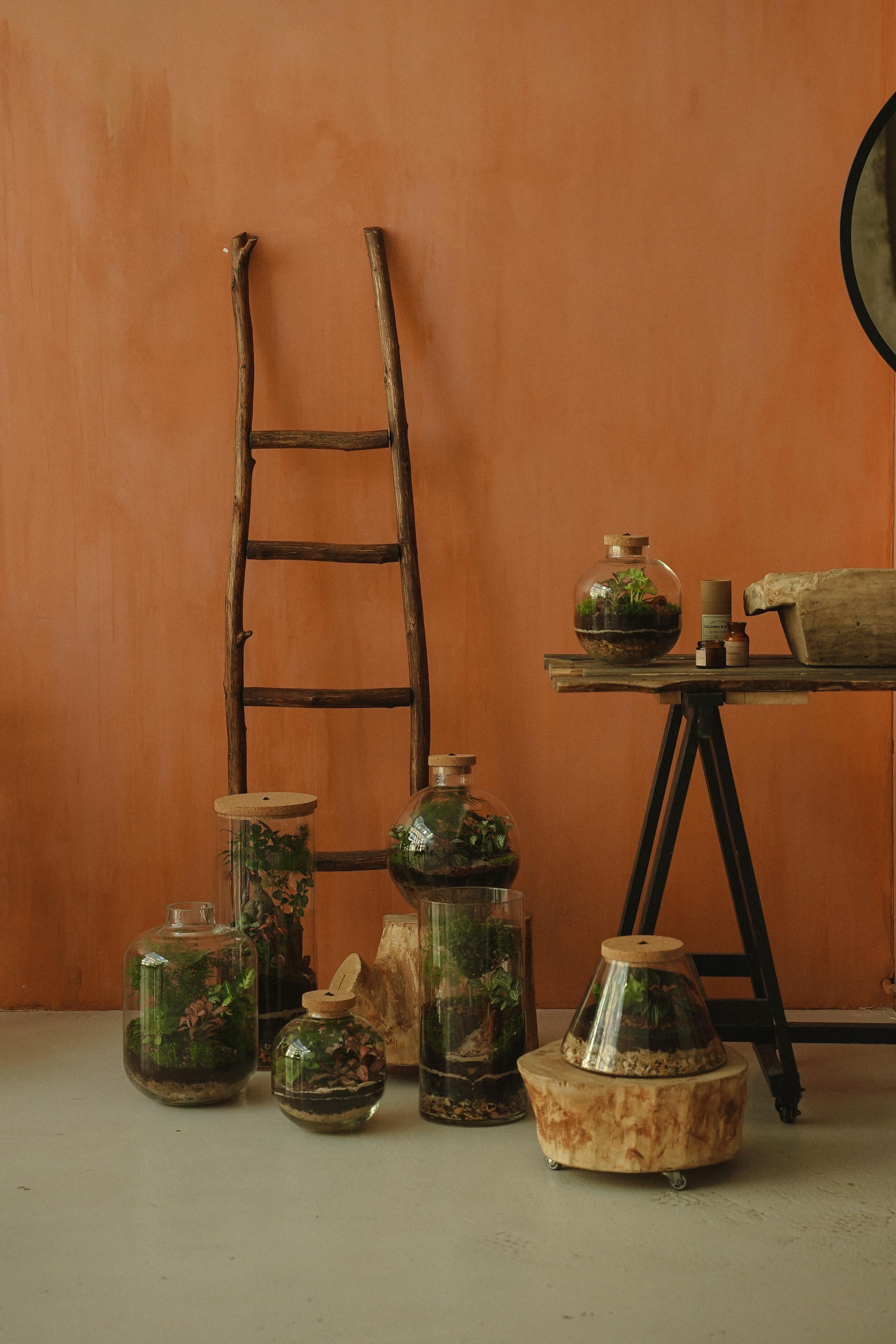 Florarium. Nadezhda Migunova, Photographer