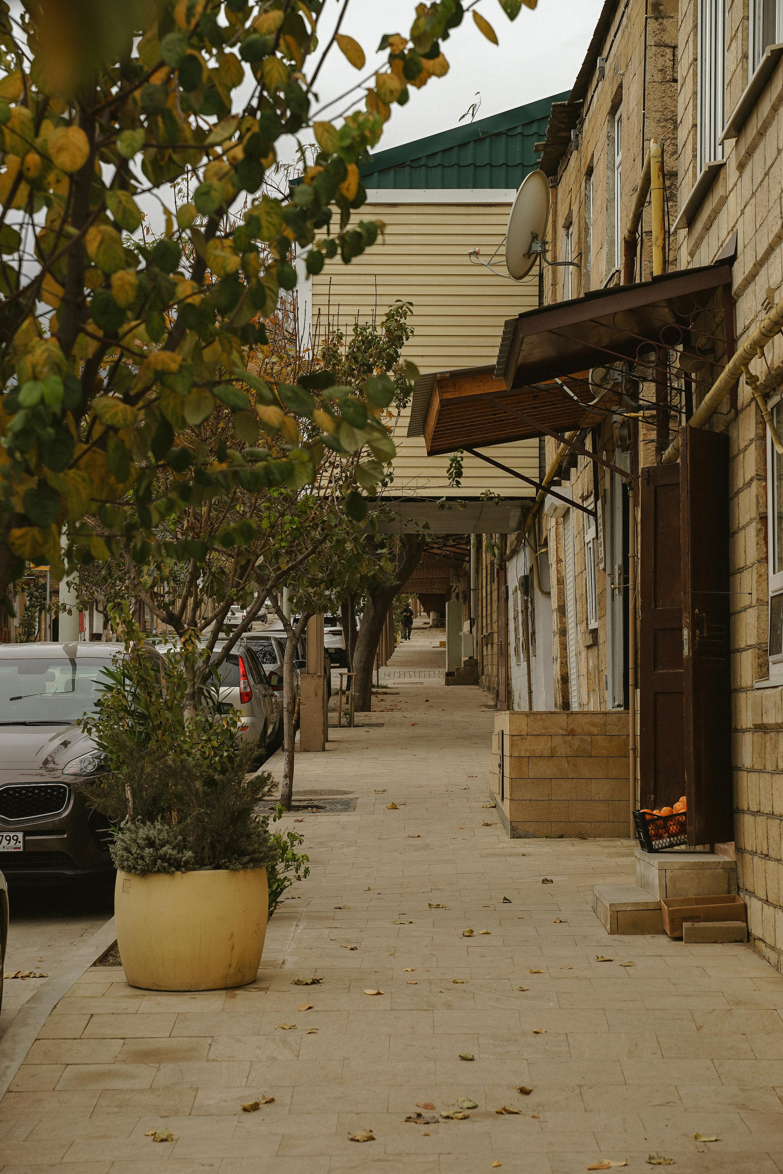 Дагестан. Nadezhda Migunova, Photographer