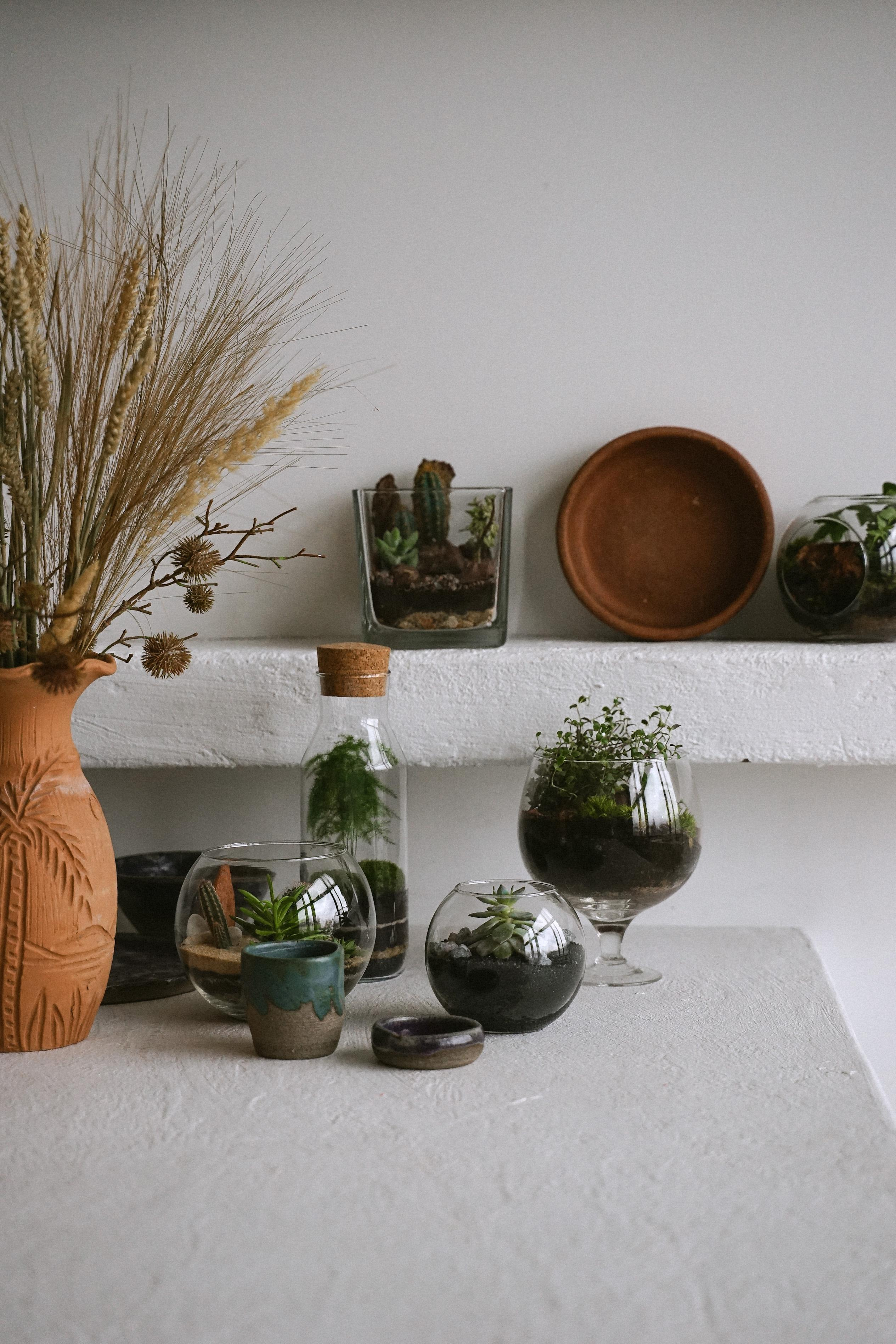 Florarium. Nadezhda Migunova, Photographer