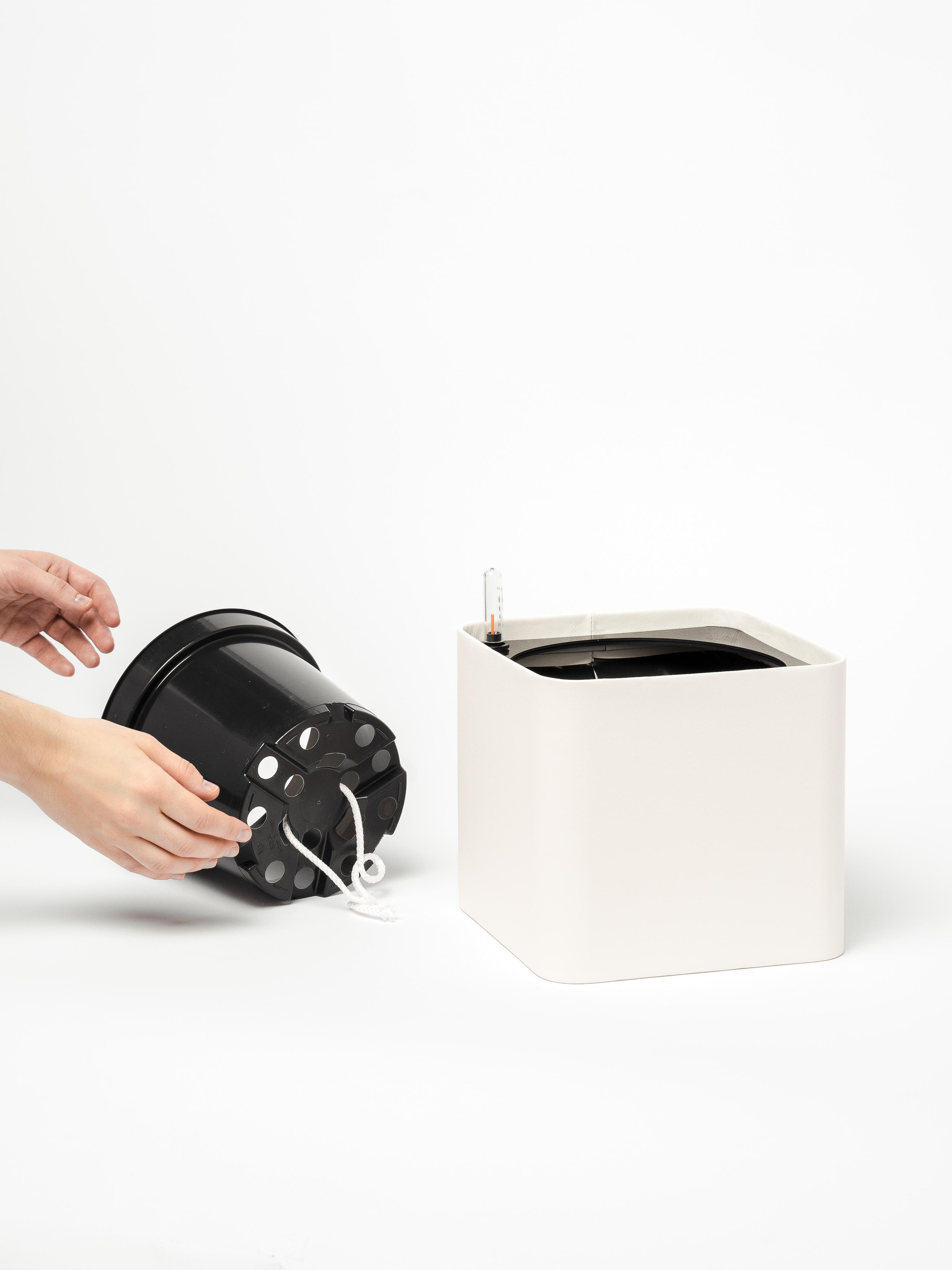 Rompicato. Nadezhda Migunova, Photographer