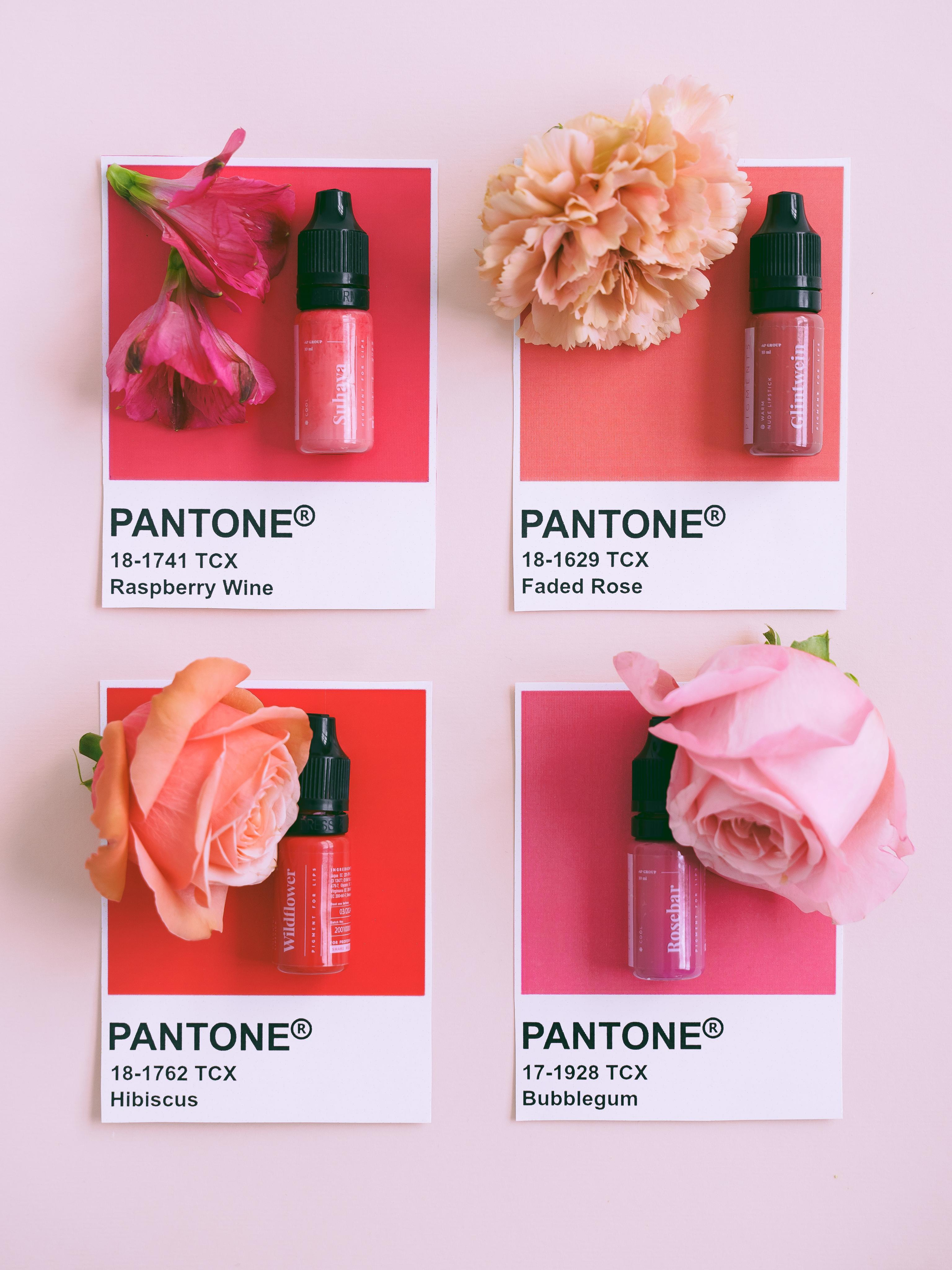 Полина, студия перманентного макияжа. Nadezhda Migunova, Photographer