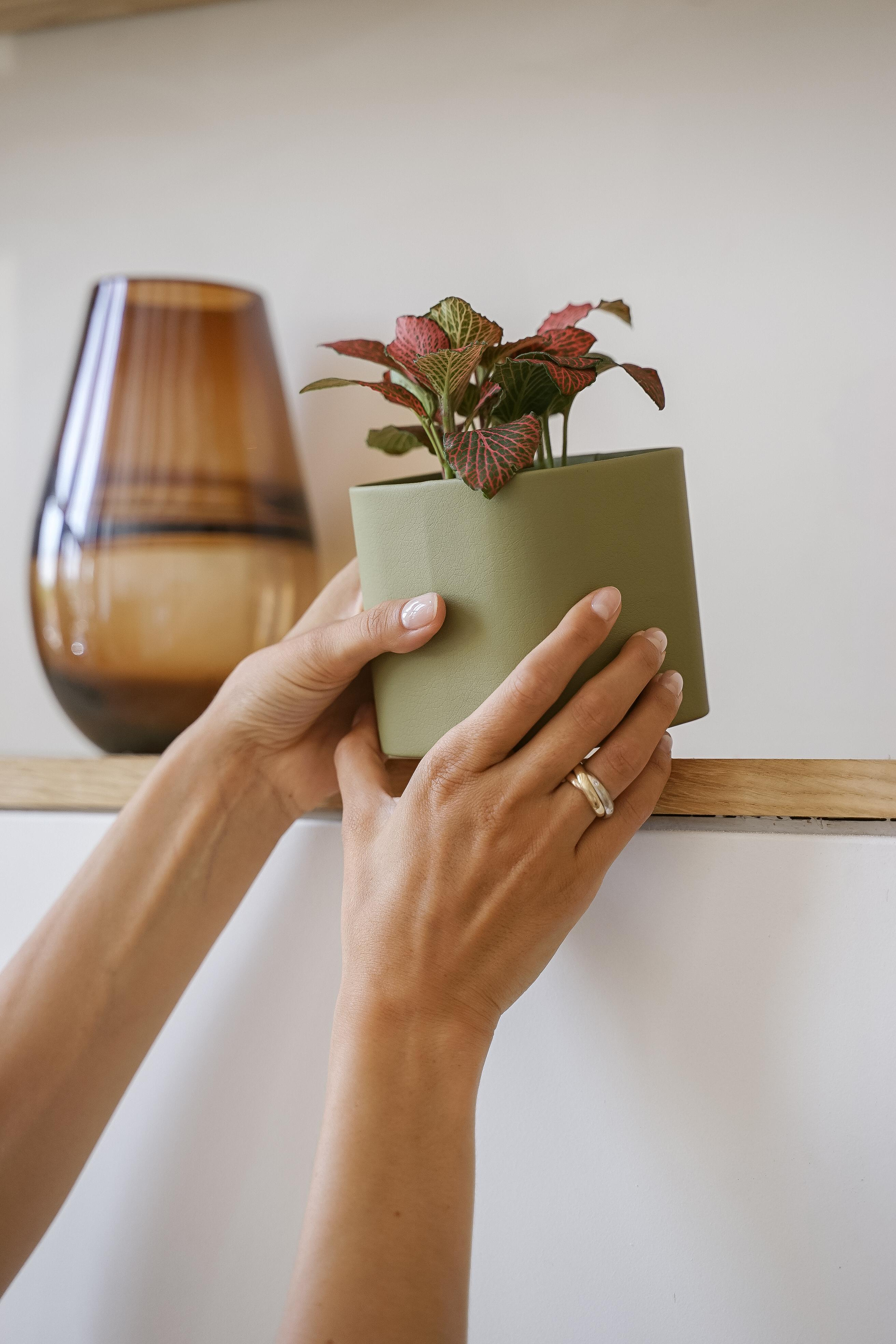 Rompicato. Nadezhda Migunova, Photographer