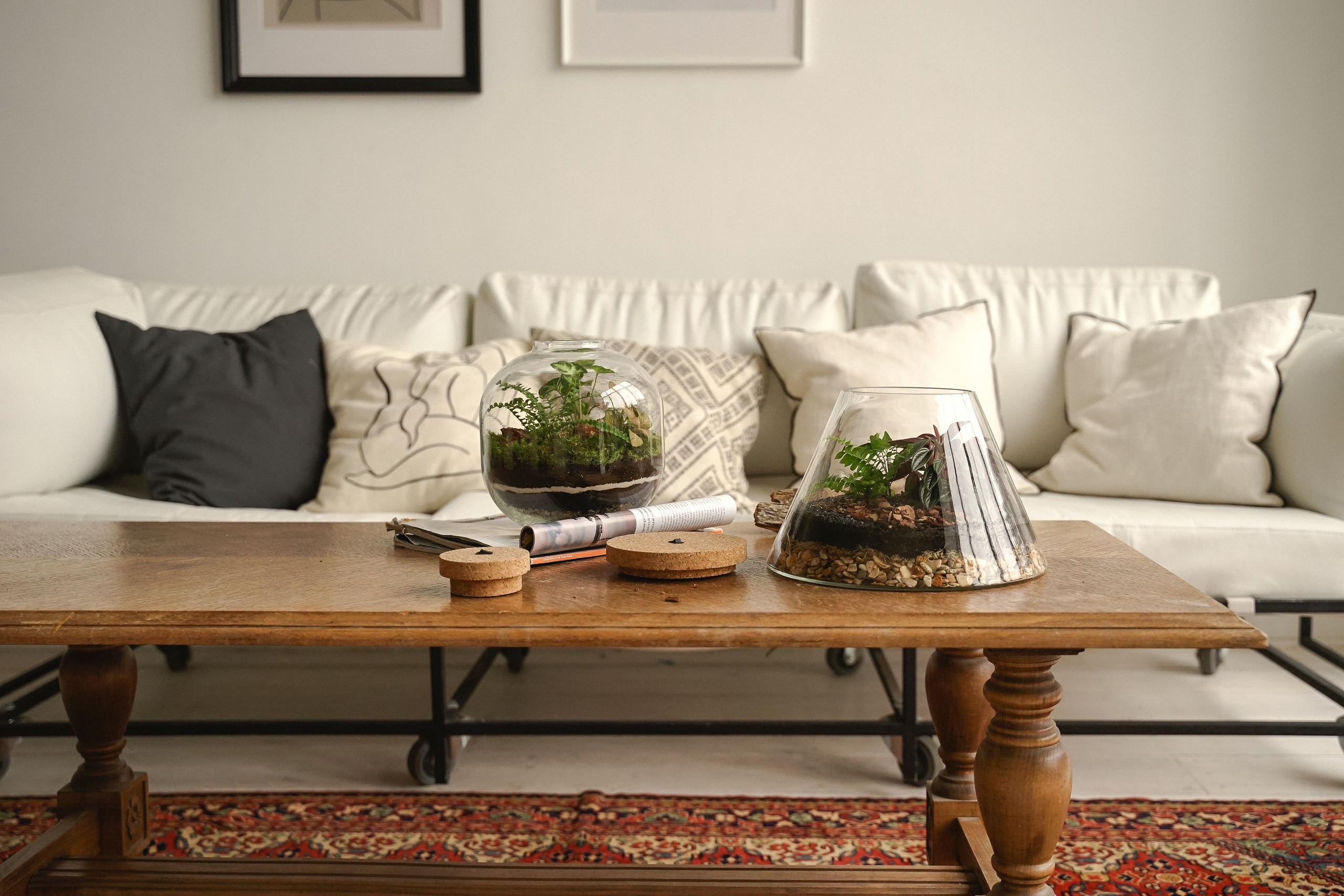 Florarium. Nadezhda Migunova, Photographer