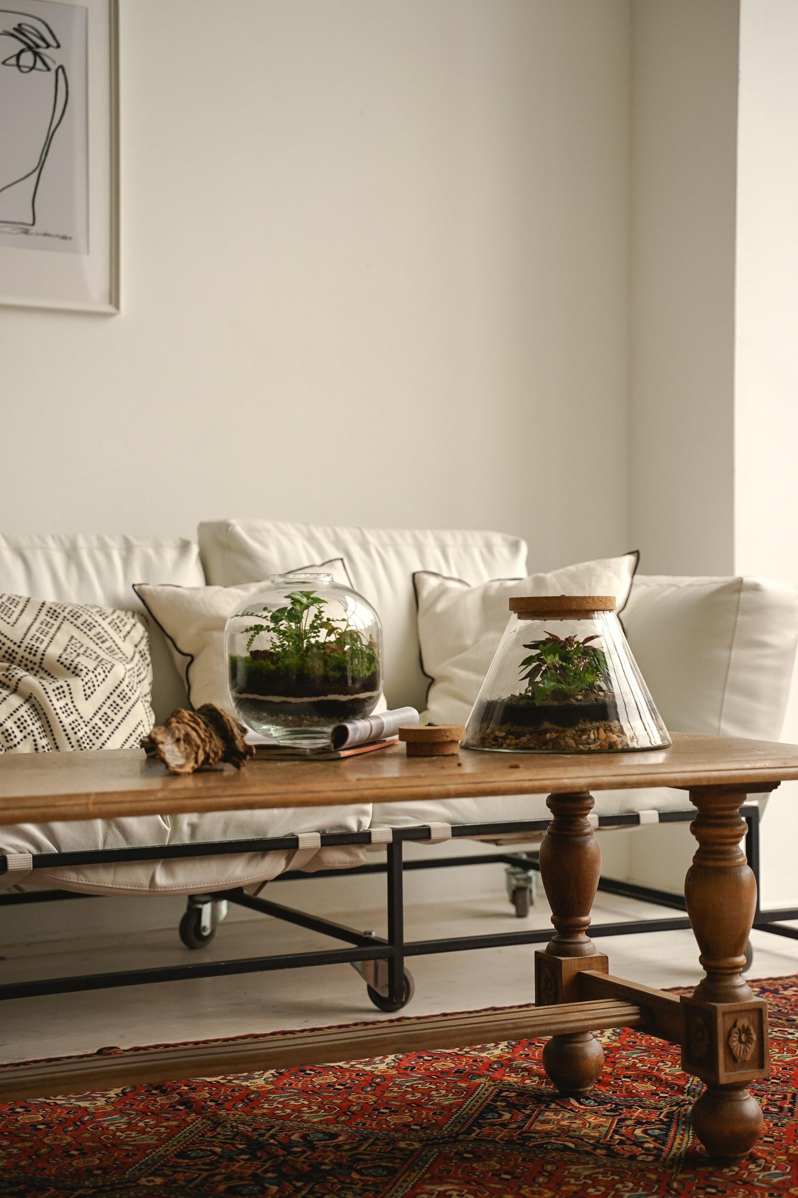 Florarium. Nadezhda Migunova, Photographer