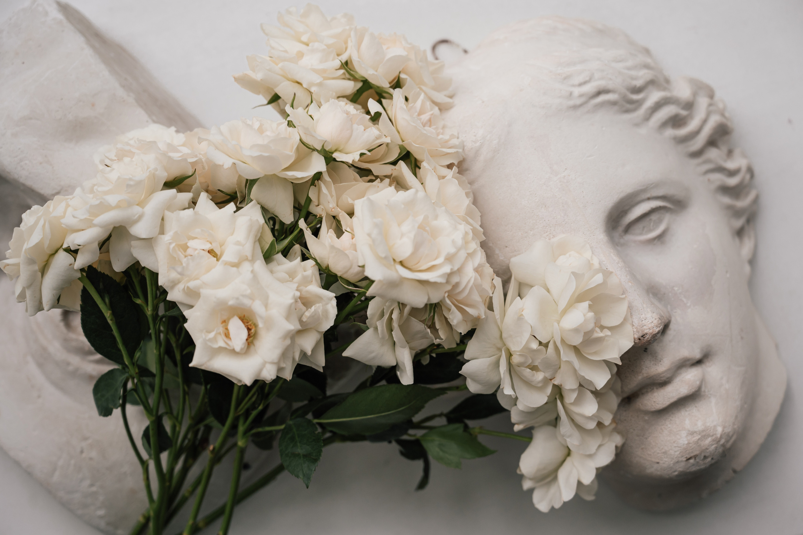 Лия. Свадебный и семейный фотограф Вероника Холод