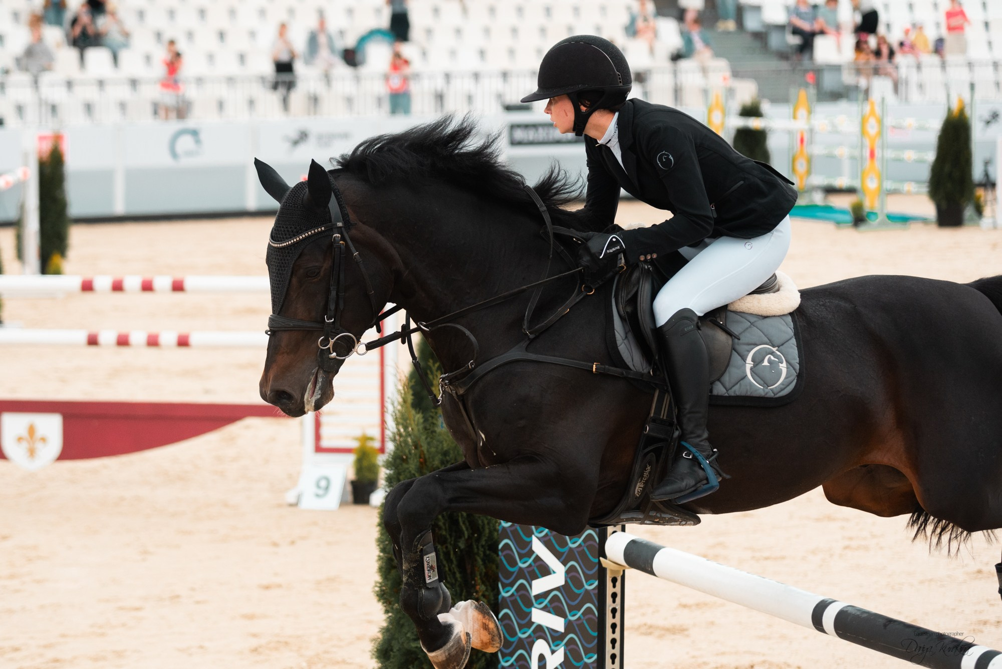 BITRIVER CUP 2023. Конный фотограф Куракина Дарья • Фотосессии с лошадьми