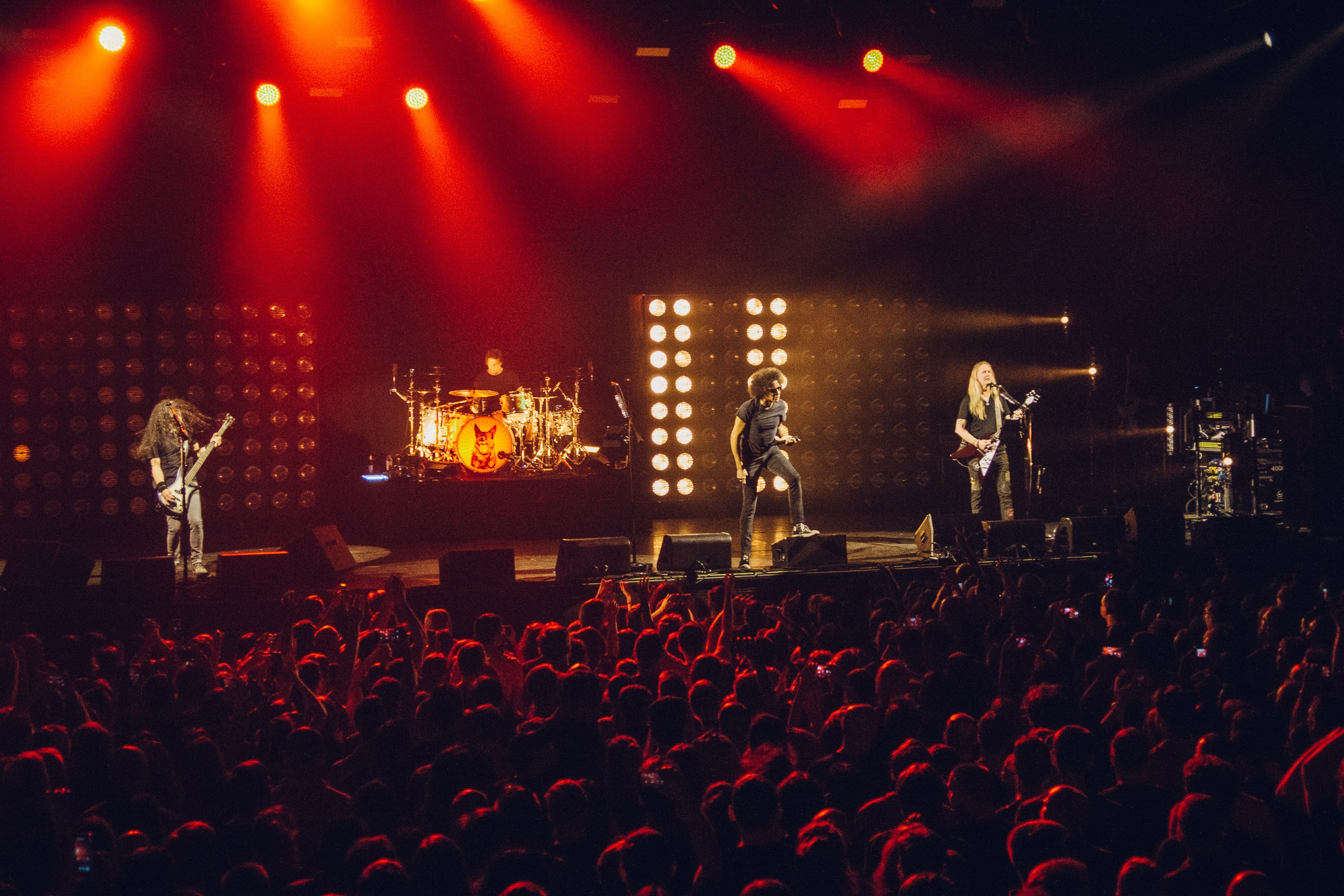 Концертное портфолио. Портфолио