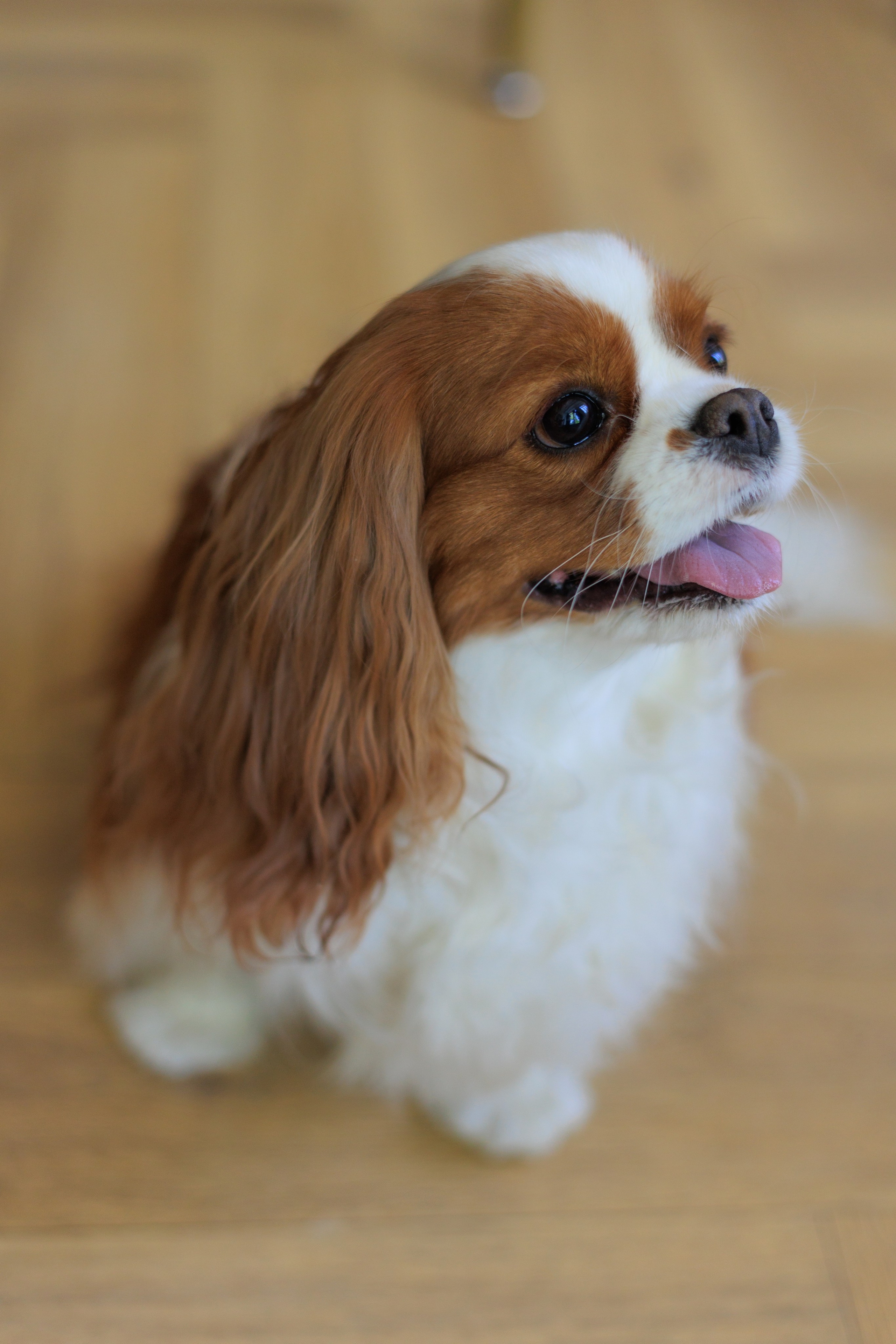 ПОЛИНА. Я фотограф из Москвы к Вашим услугам