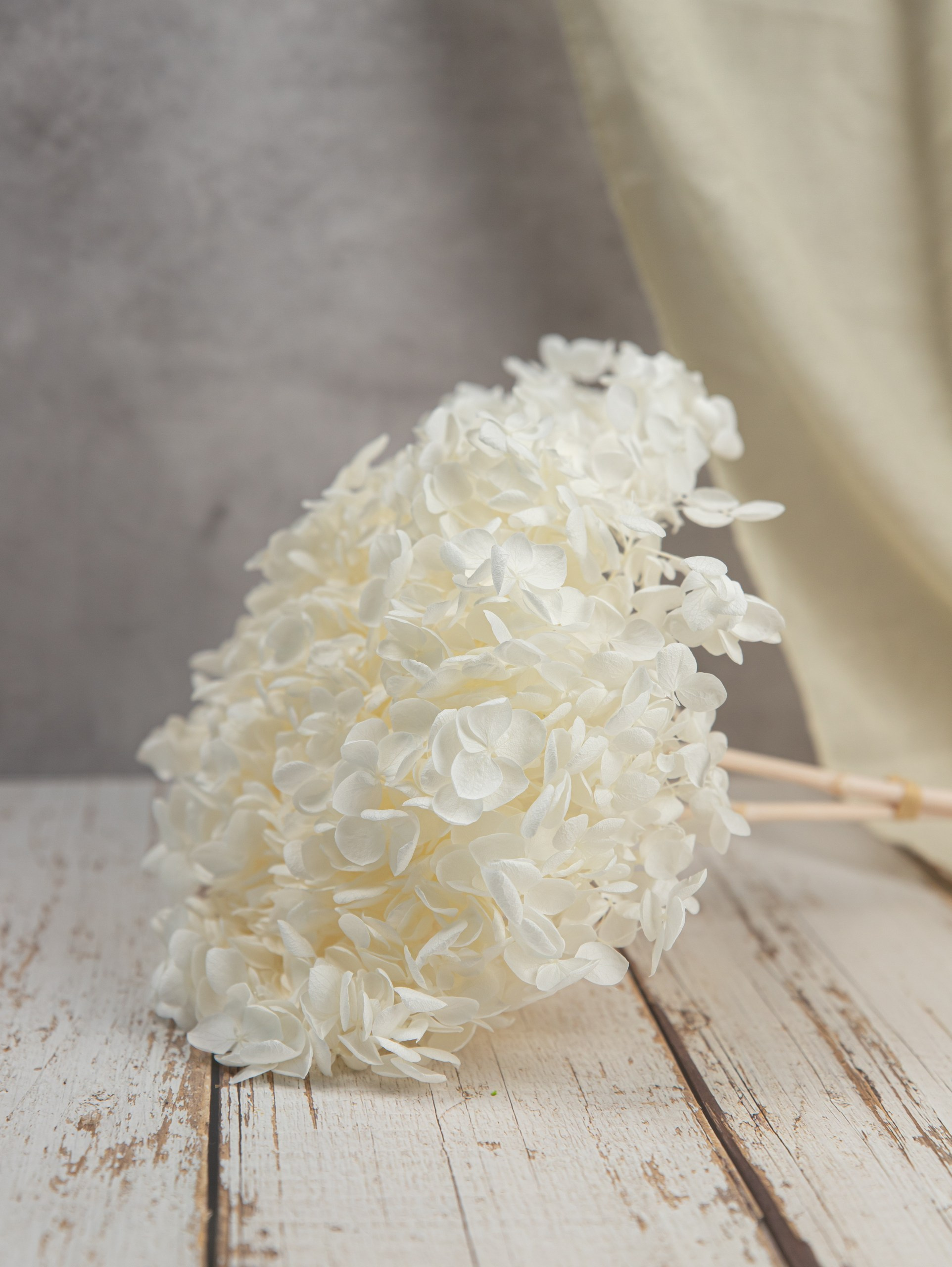 Расчёт стоимости предметной съёмки