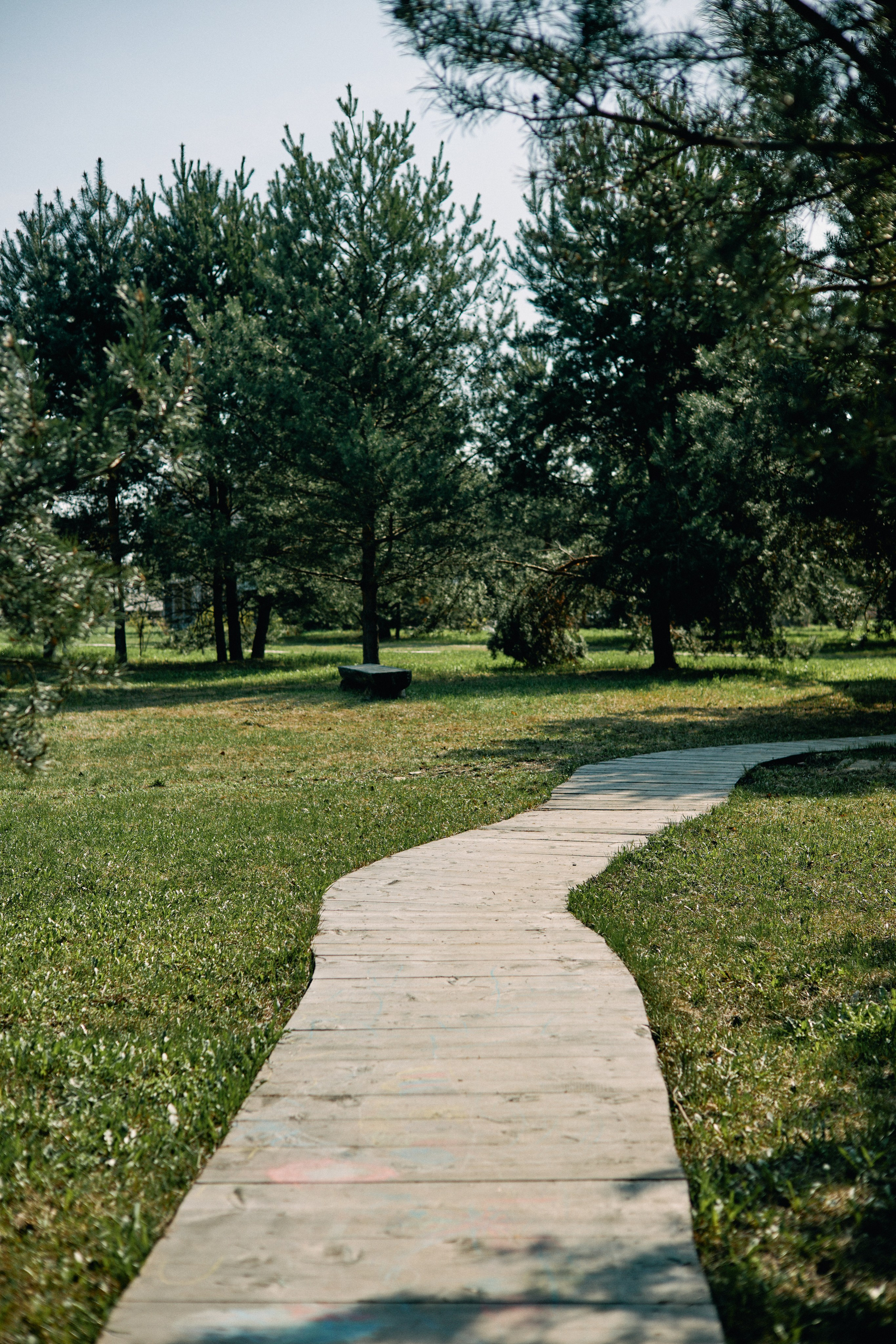 Бутик-отель Поле летом. Профессиональный Фотограф во Владимире, в Москве и в Суздале — Полина Романычева