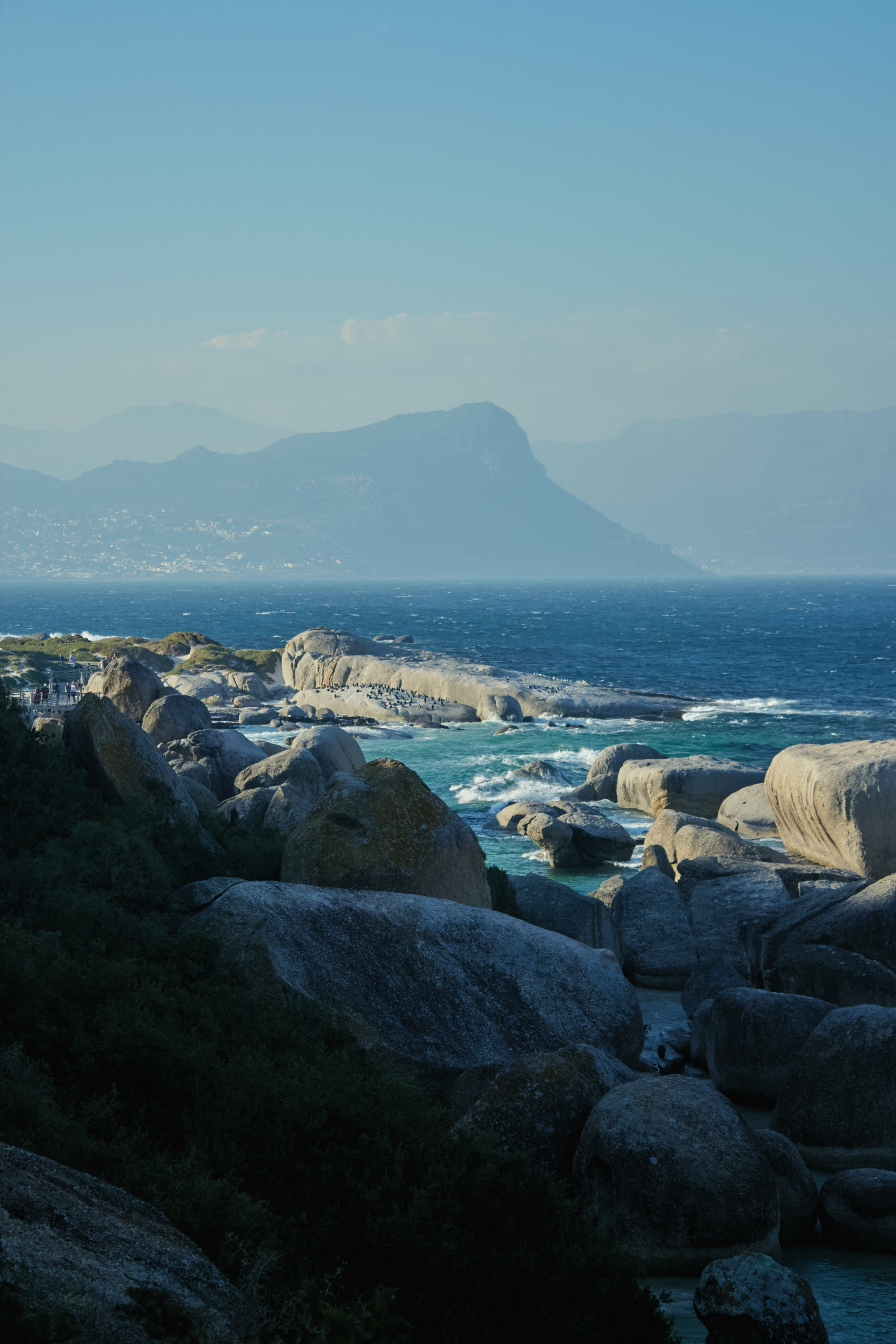 ЮАР. Профессиональный Фотограф во Владимире, в Москве и в Суздале — Полина Романычева
