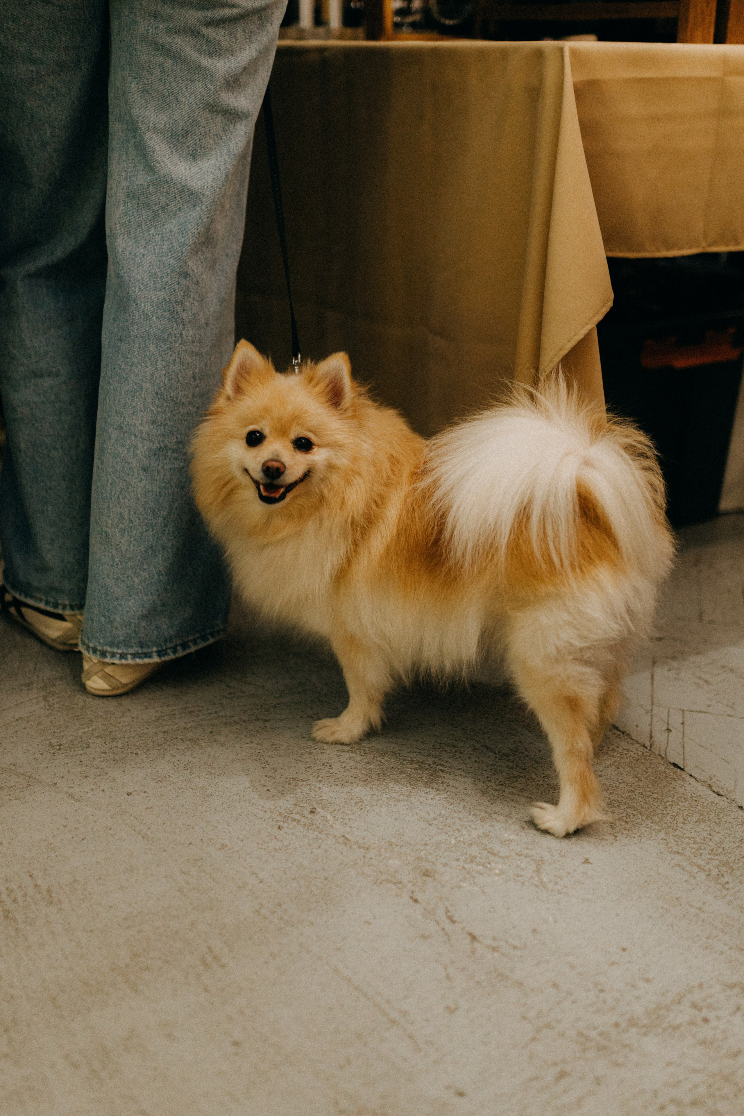 Маркет КИТЧ. Фотограф НОГИНСК, Москва, Анастасия Белая