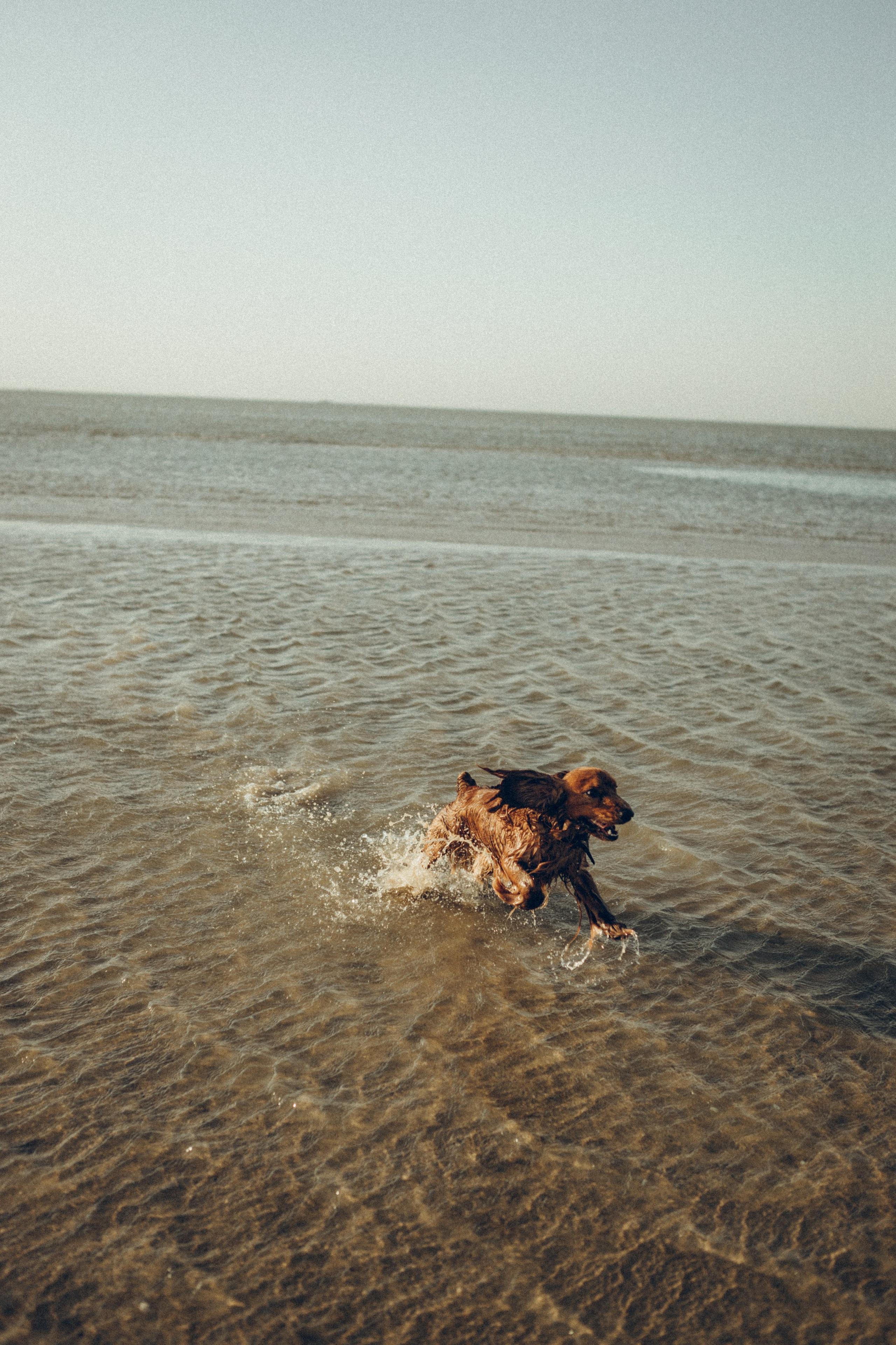 Family moment 💫. Семейный фотограф и фотограф на роды в Ростове-на-Дону Мухина Виктория