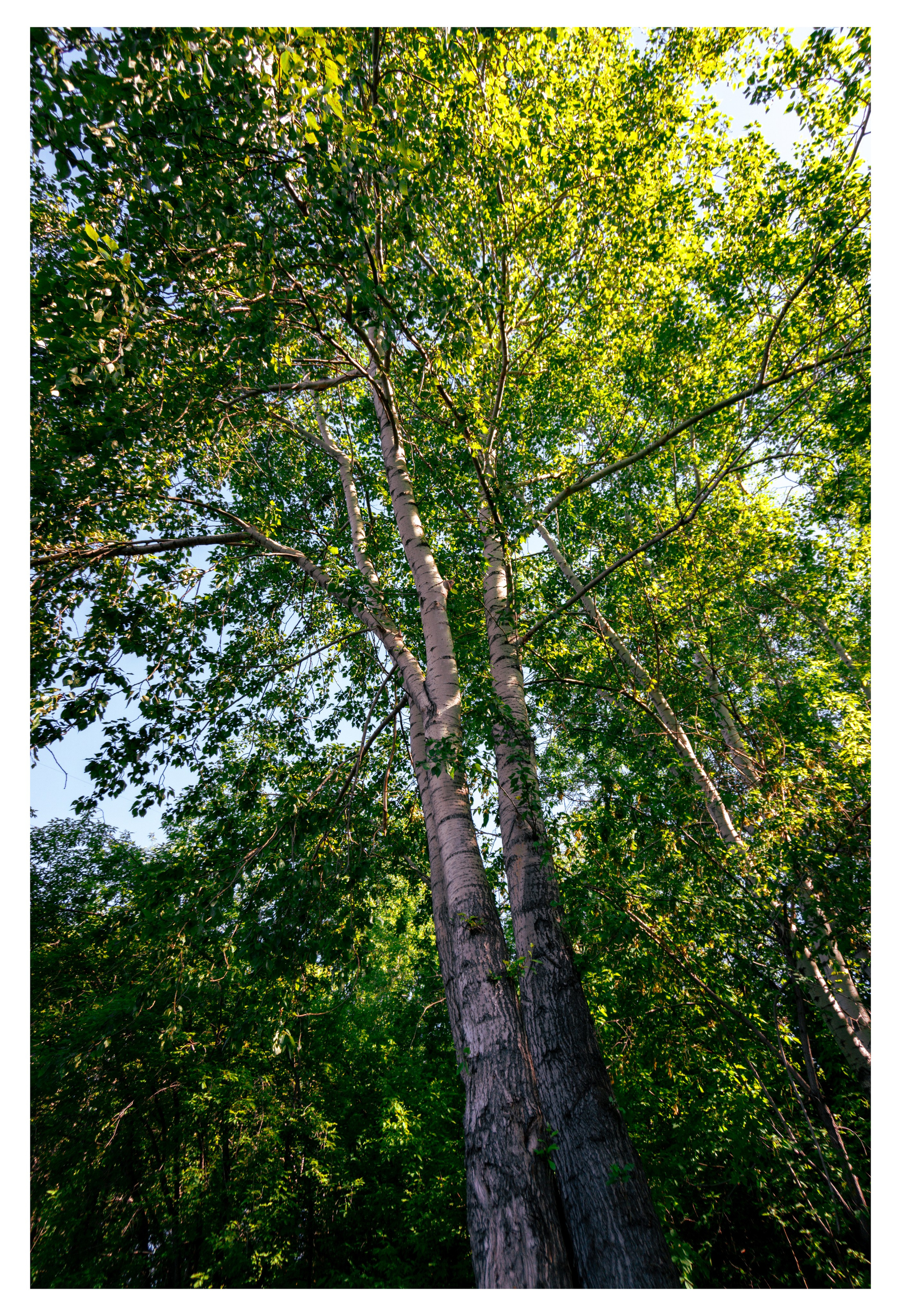 05.06.2025 | Красноярск. Kuznetsov | Фотограф в Красноярске