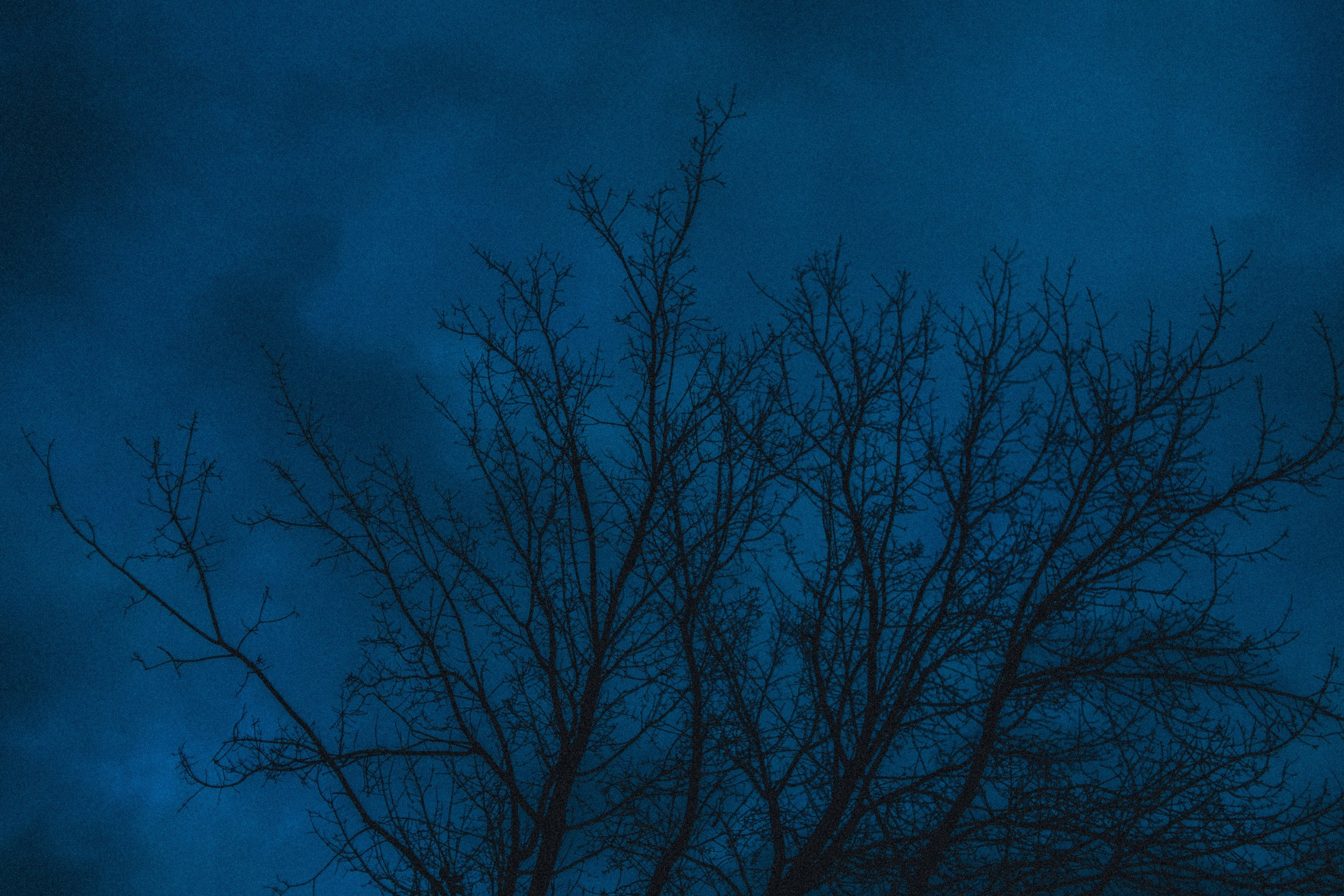 Улица горизонтальная. Jorgis — фотограф в Хургаде / обучение фотографии