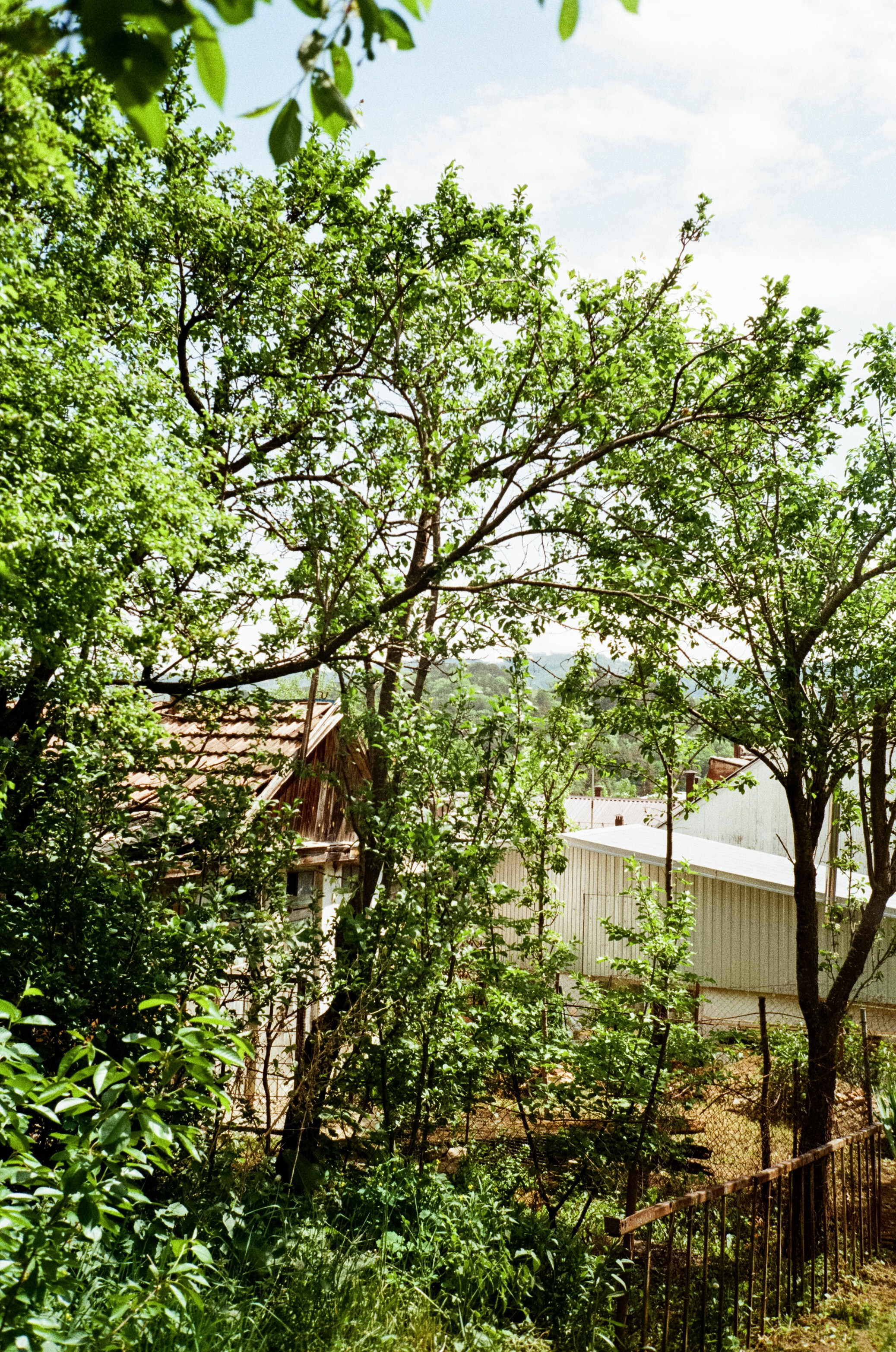 Дворик на Гагарина в Кисловодске. Паркур. Фотограф-документалист Мария Осокина