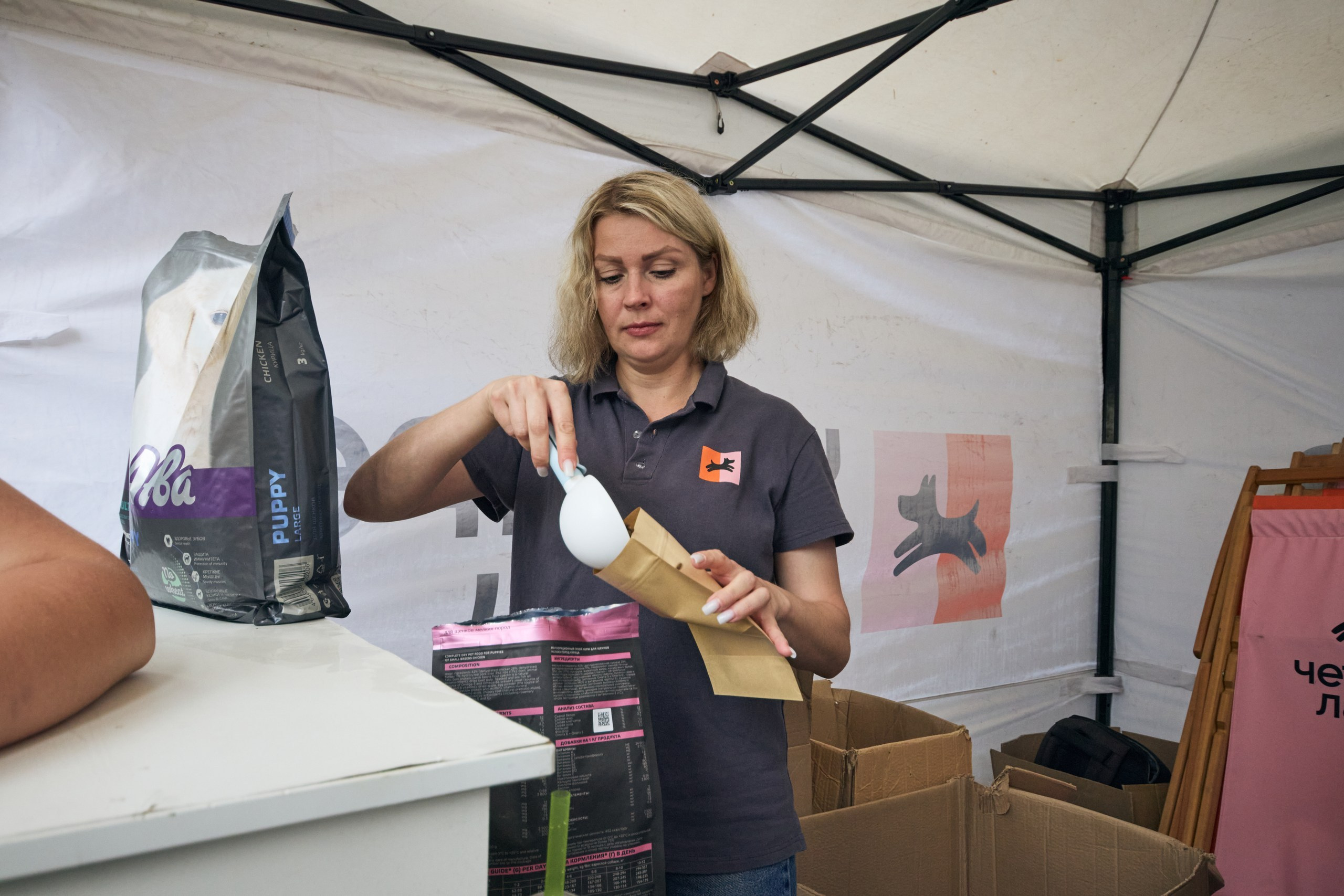 Четыре Лапы. Свадебный и репортажный фотограф Дмитрий Кононенко