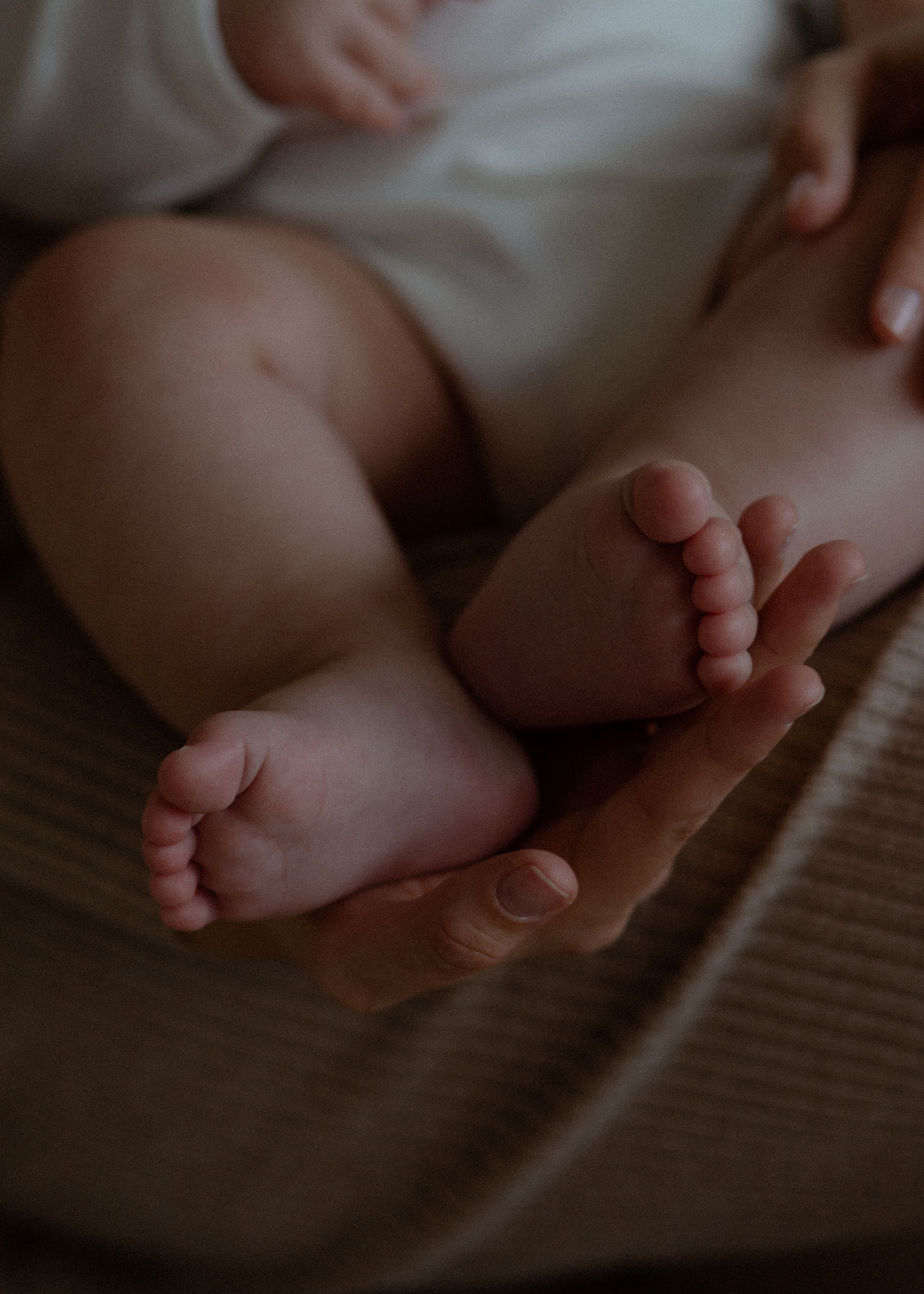 Маленький Илья и его родители. Свадебный и семейный фотограф Ксения Маллер