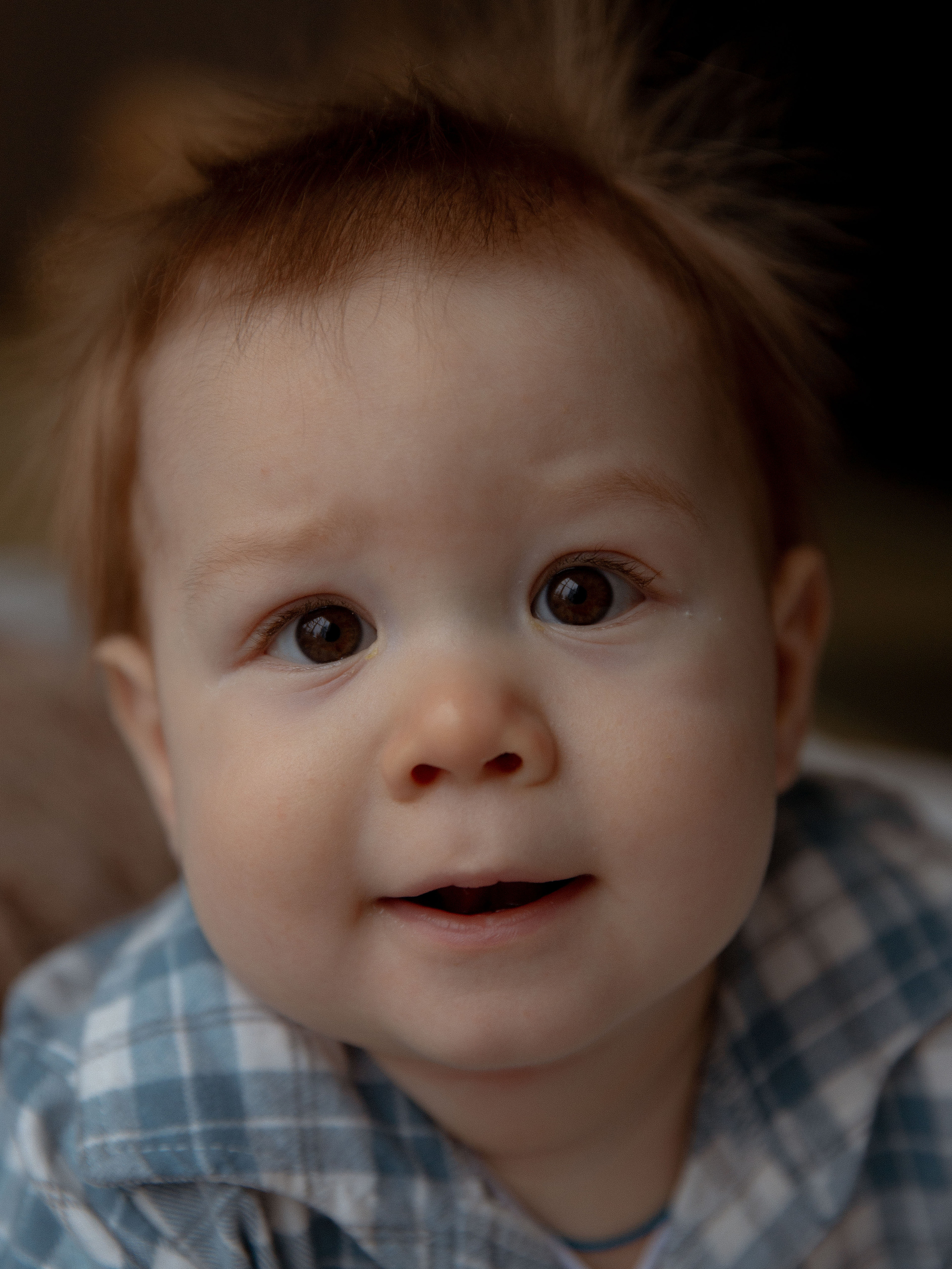 Новый год в студии. Свадебный и семейный фотограф Ксения Маллер