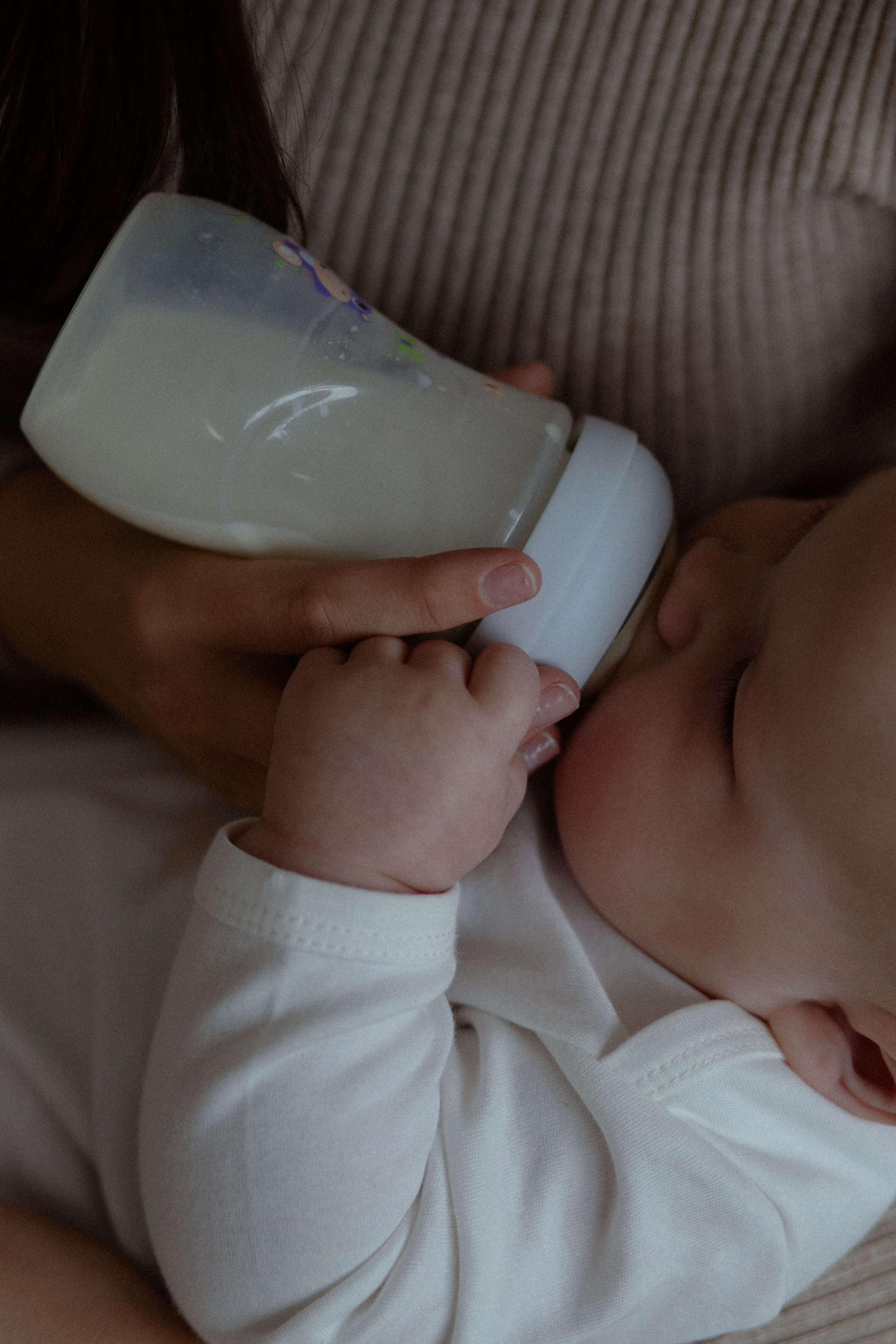 Маленький Илья и его родители. Свадебный и семейный фотограф Ксения Маллер