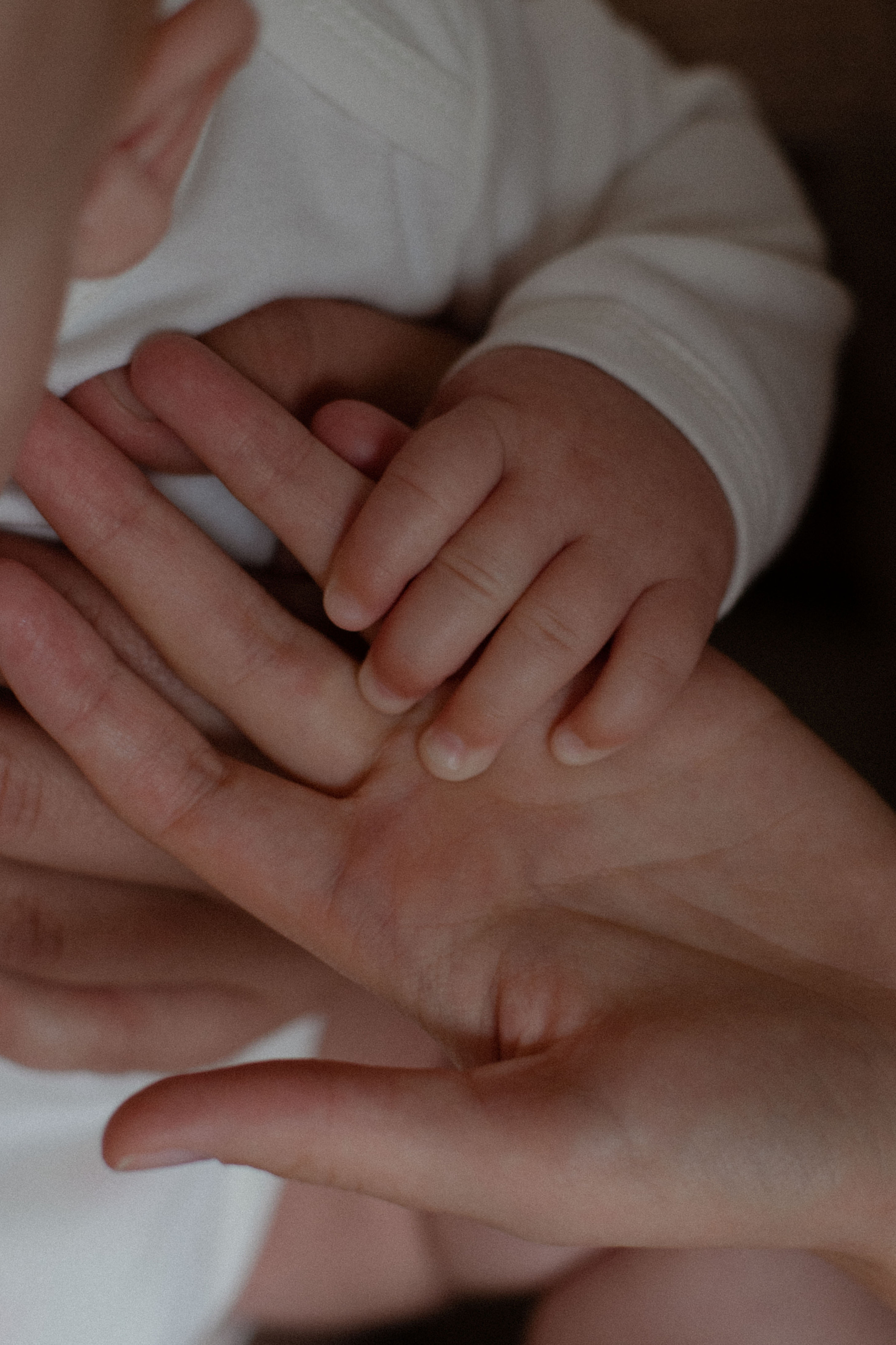 Маленький Илья и его родители. Свадебный и семейный фотограф Ксения Маллер