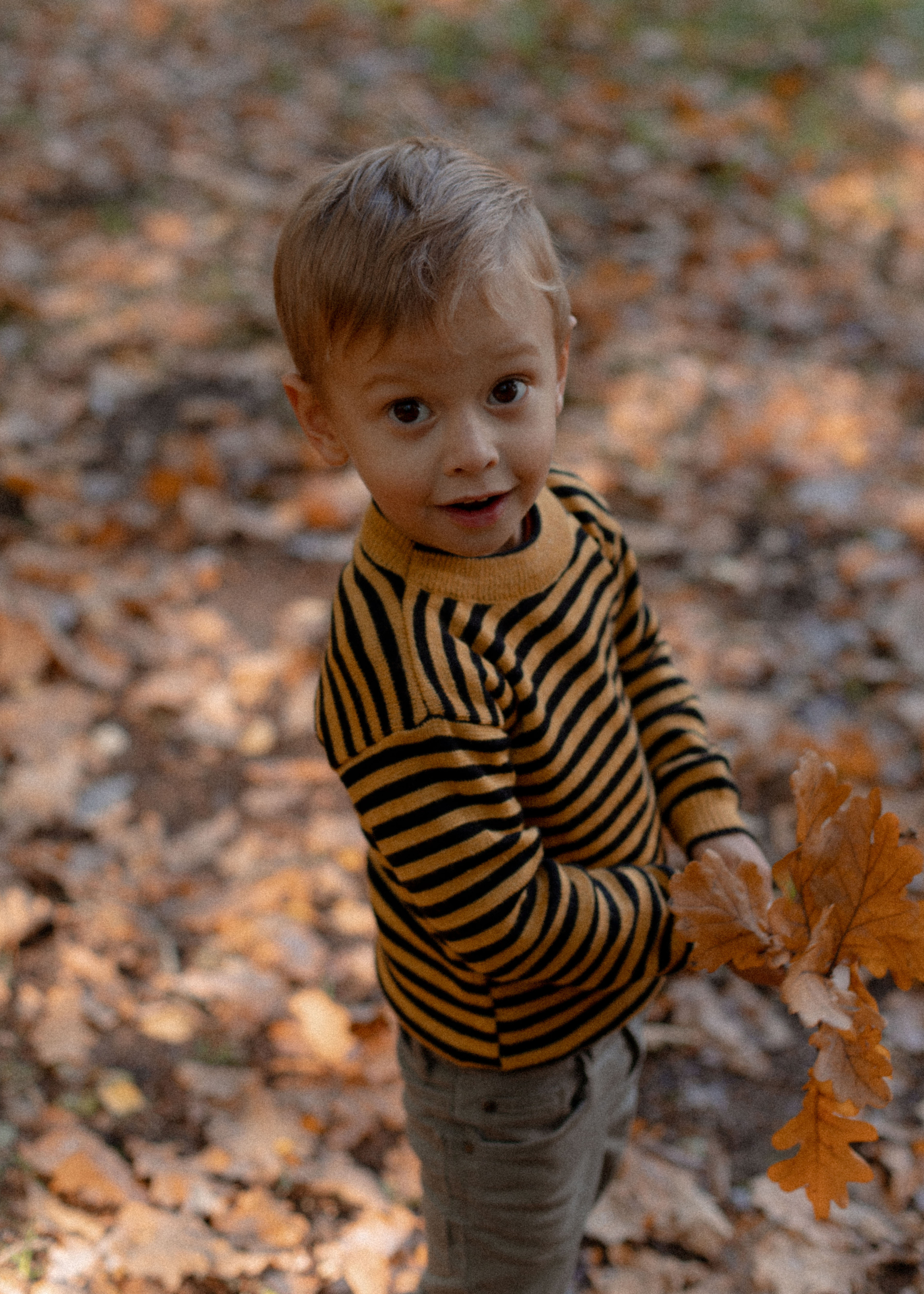 Теплая осенняя история. Свадебный и семейный фотограф Ксения Маллер