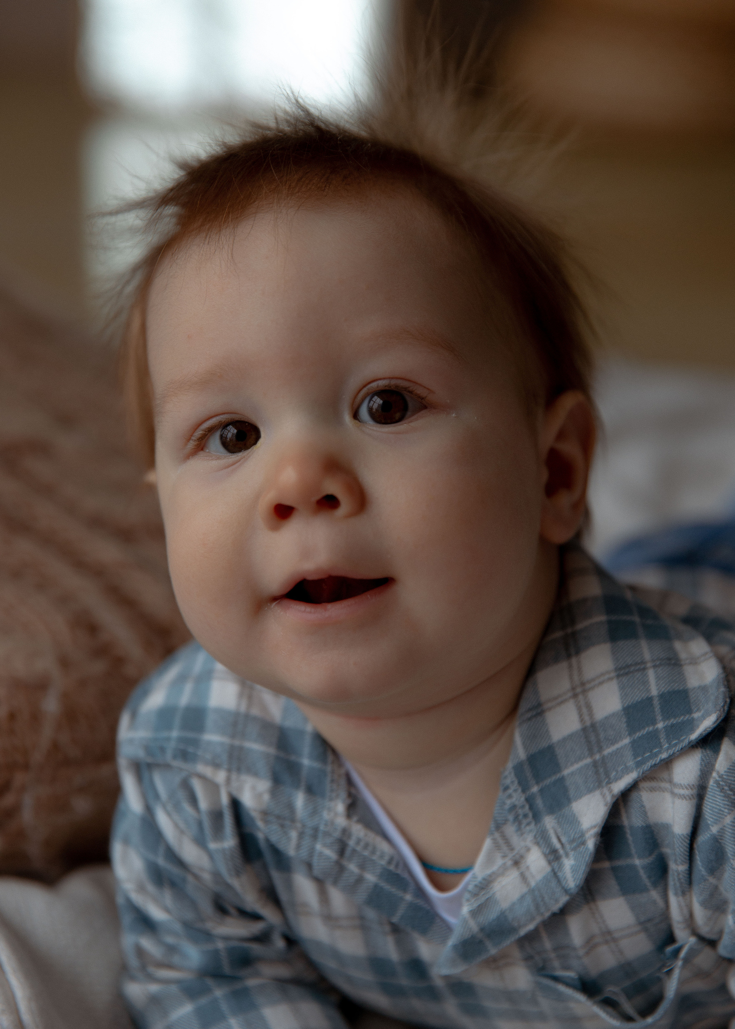 Новый год в студии. Свадебный и семейный фотограф Ксения Маллер