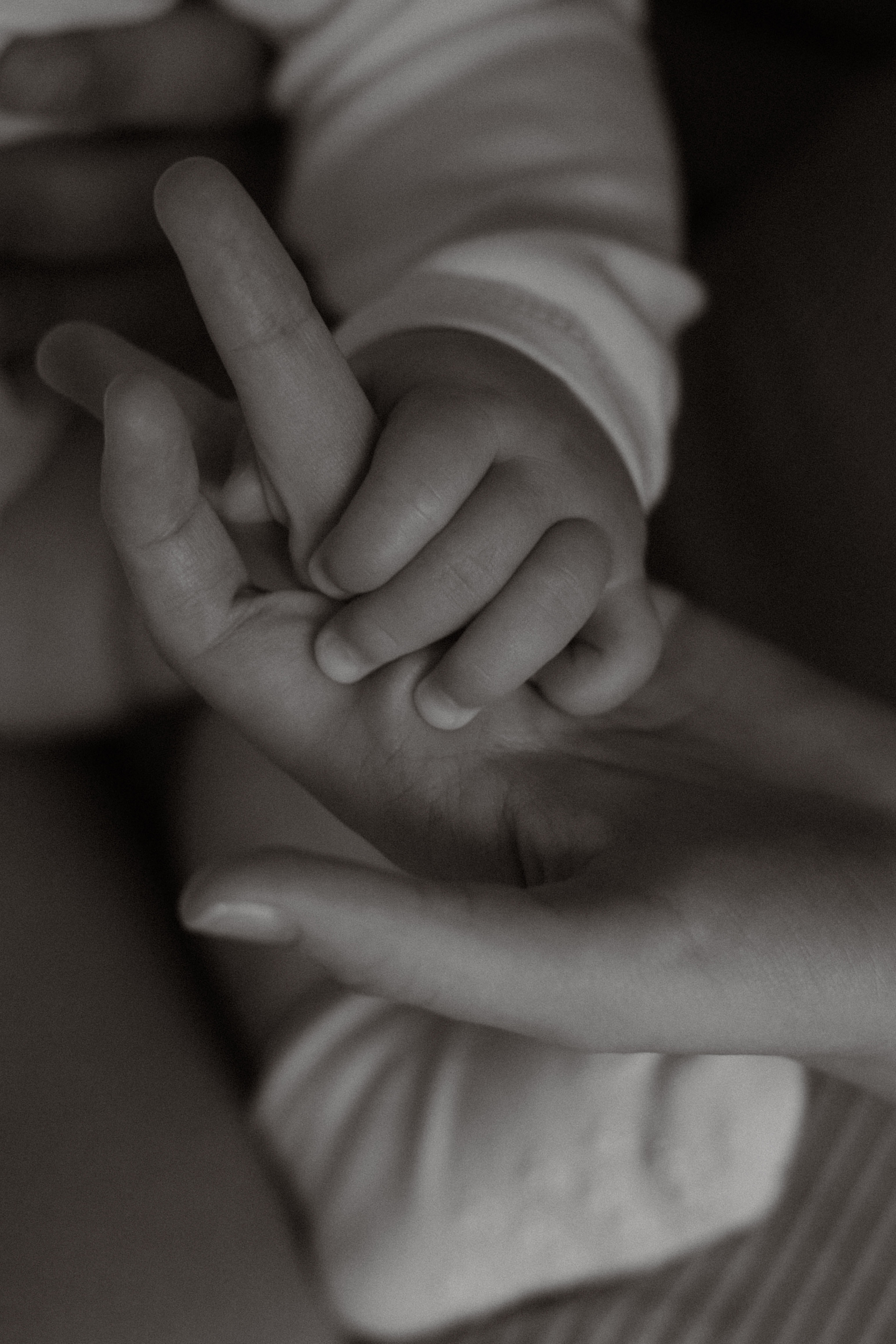 Маленький Илья и его родители. Свадебный и семейный фотограф Ксения Маллер