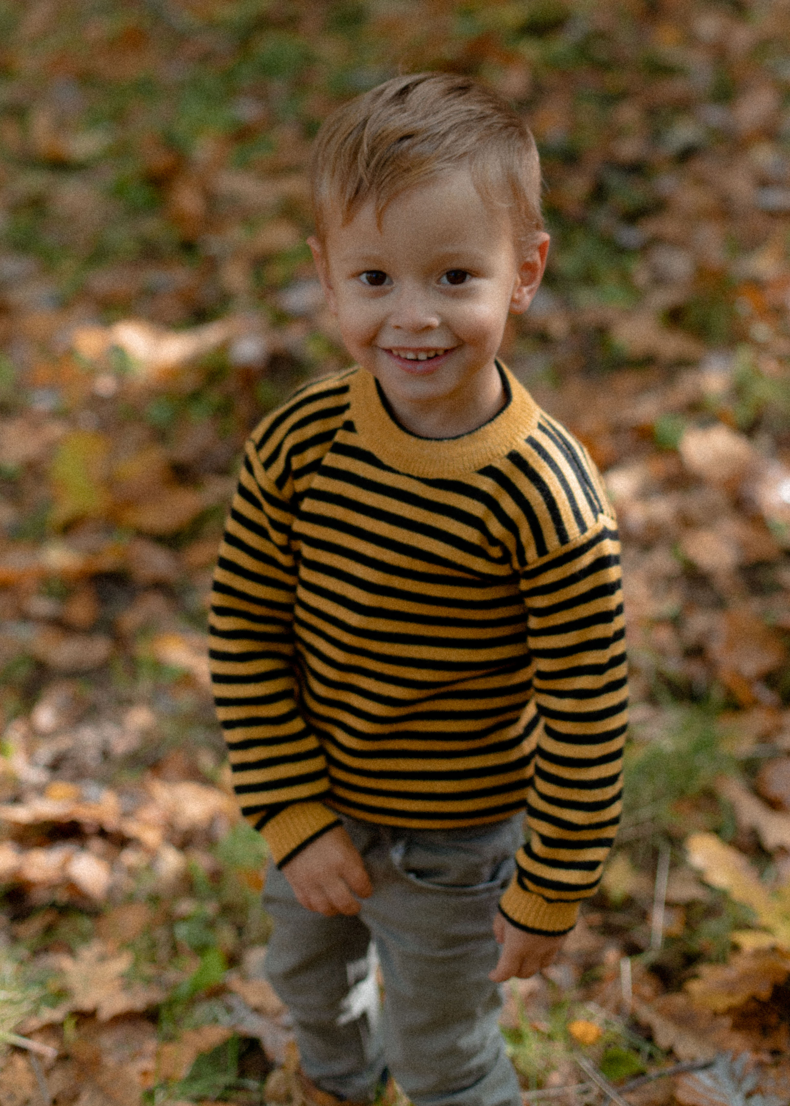 Теплая осенняя история. Свадебный и семейный фотограф Ксения Маллер