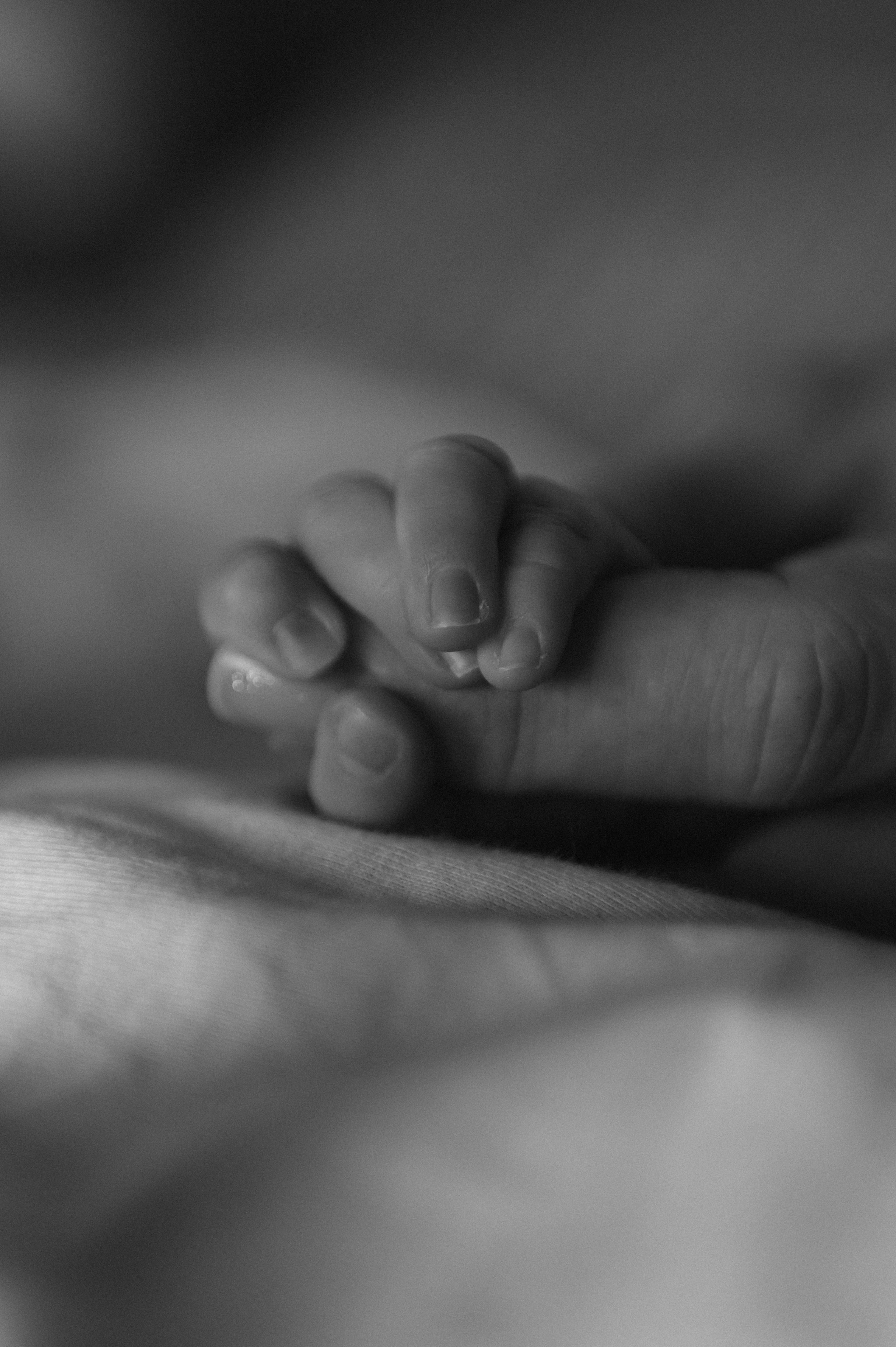 Home. Свадебный и семейный фотограф Волгоград Москва