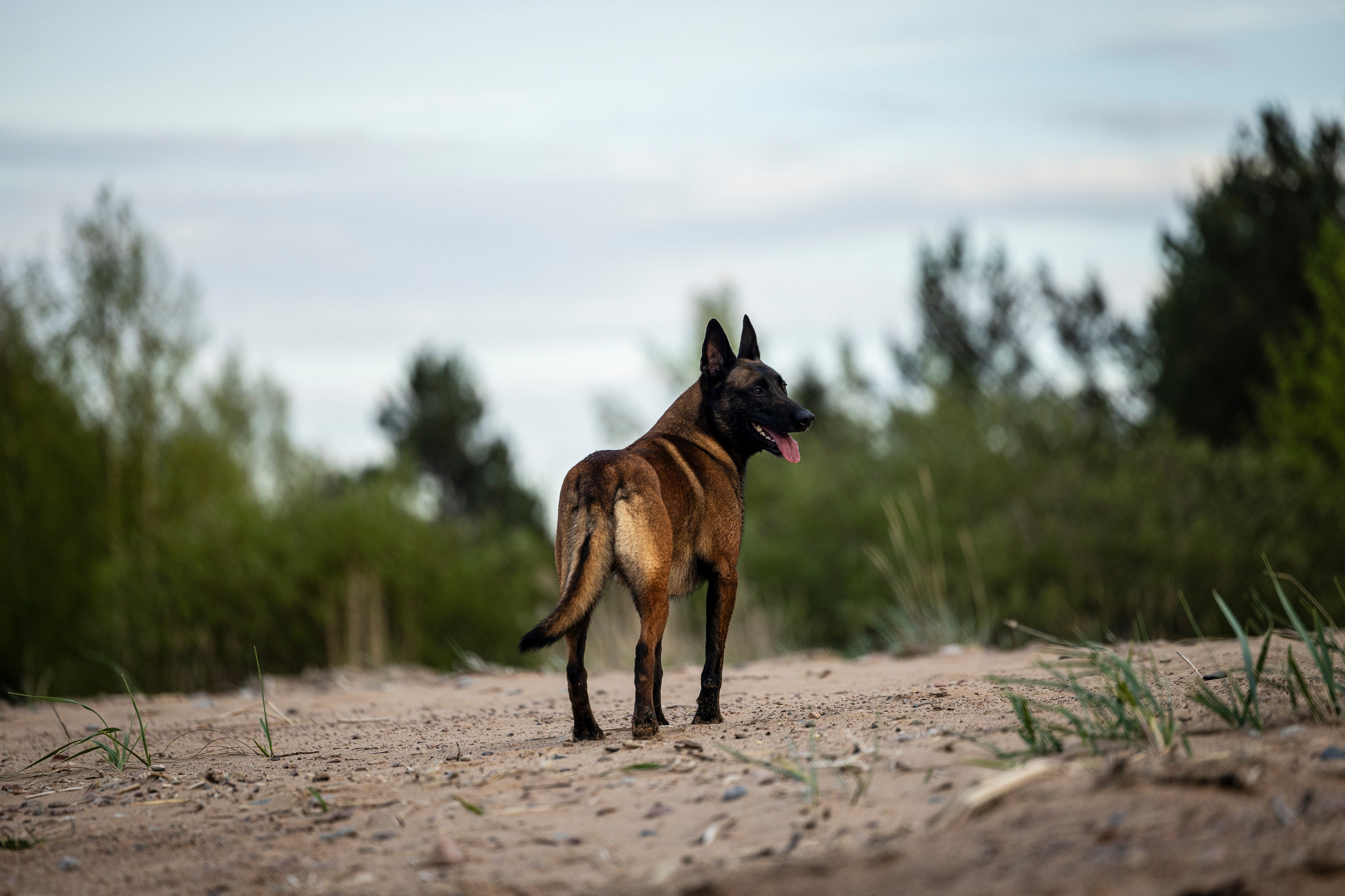 Ричард залив. Фотограф-анималист Анна Маринич