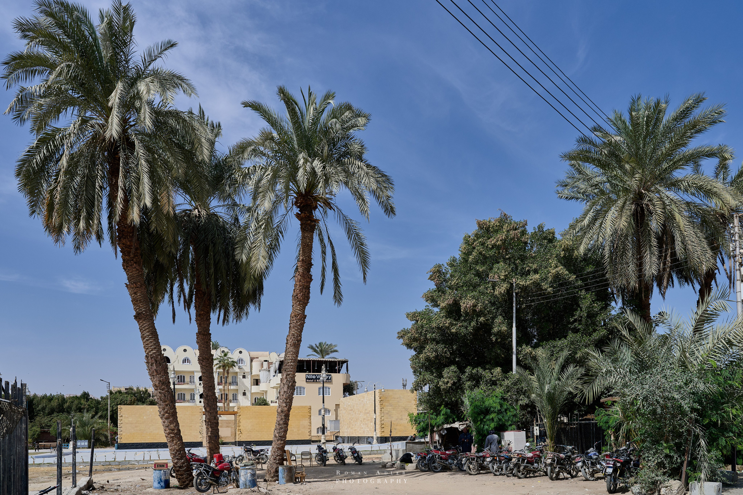 Луксор. Февраль 2025. Фотограф Роман Адлер