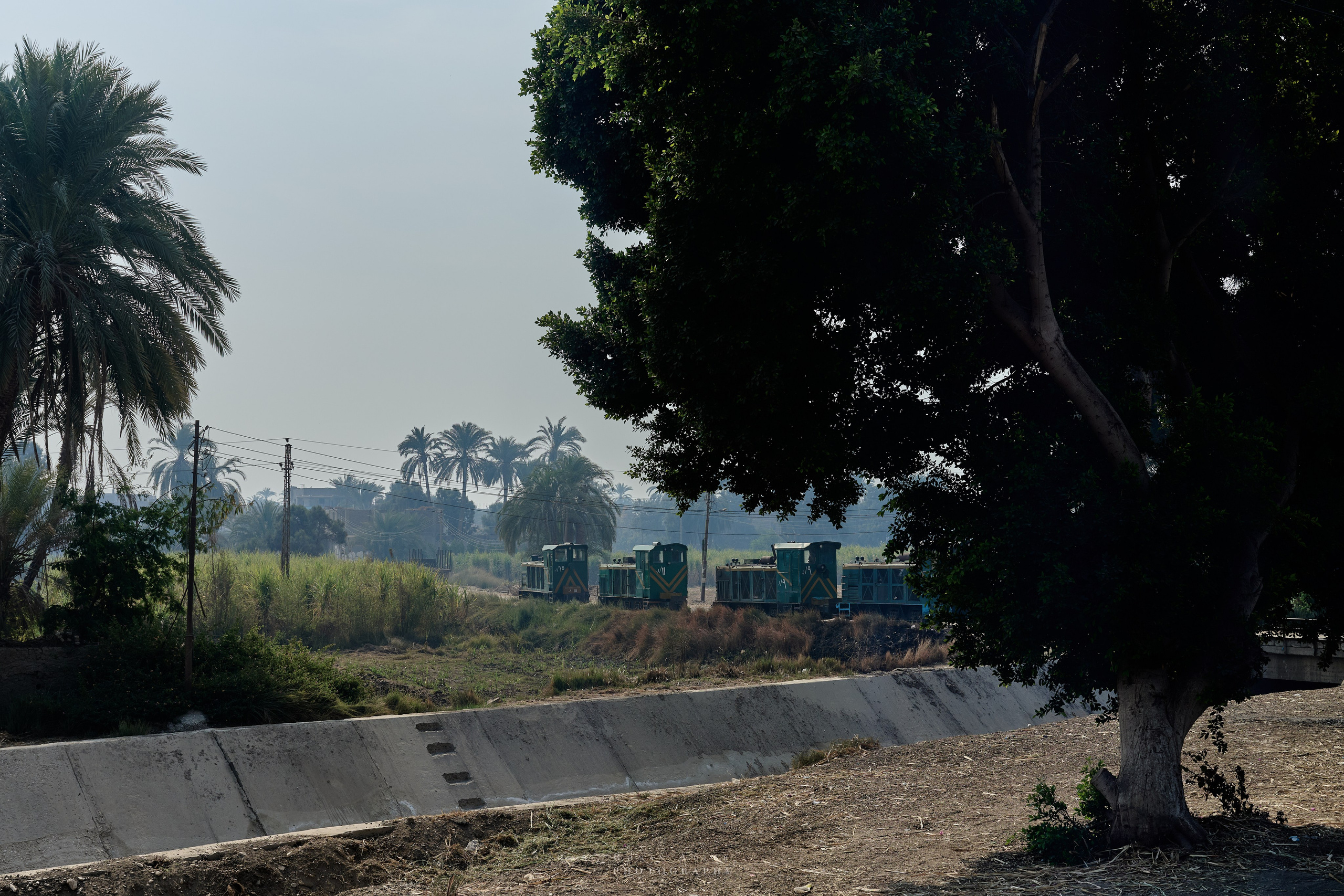 Луксор. Февраль 2025. Фотограф Роман Адлер