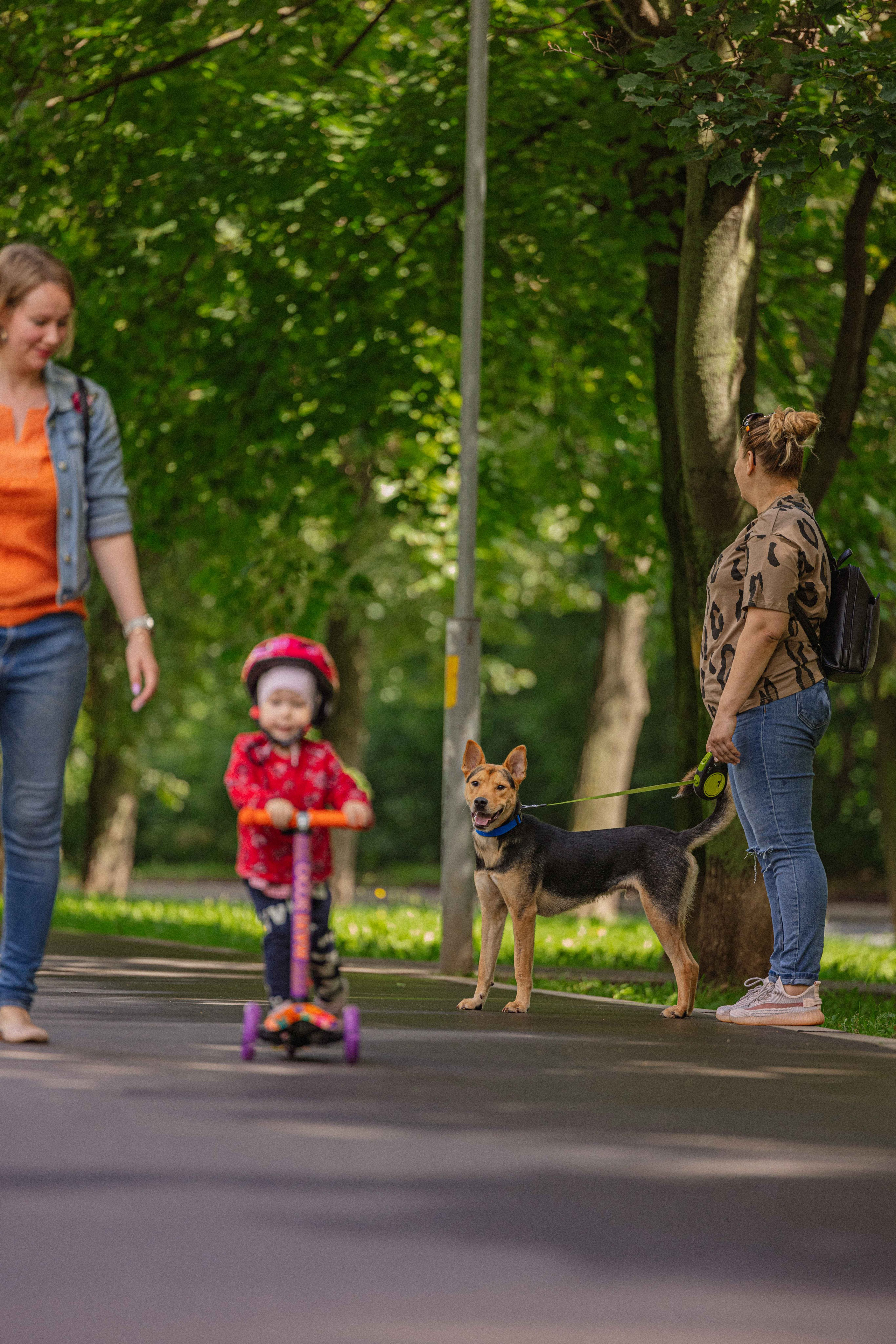 Джеки. Фотограф-анималист в Москве Лера Черноног