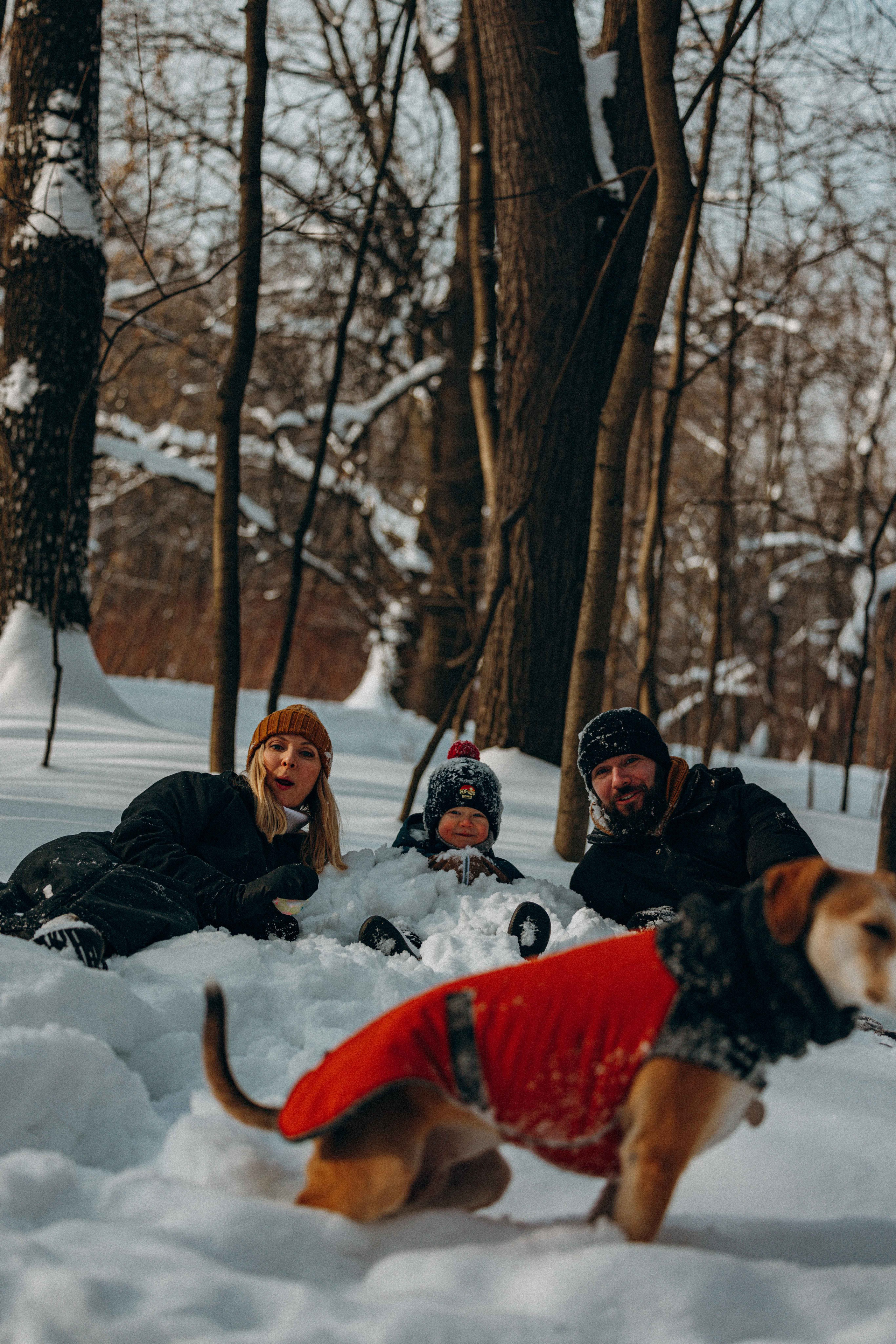 Свобода и ее семья. Фотограф-анималист в Москве Лера Черноног