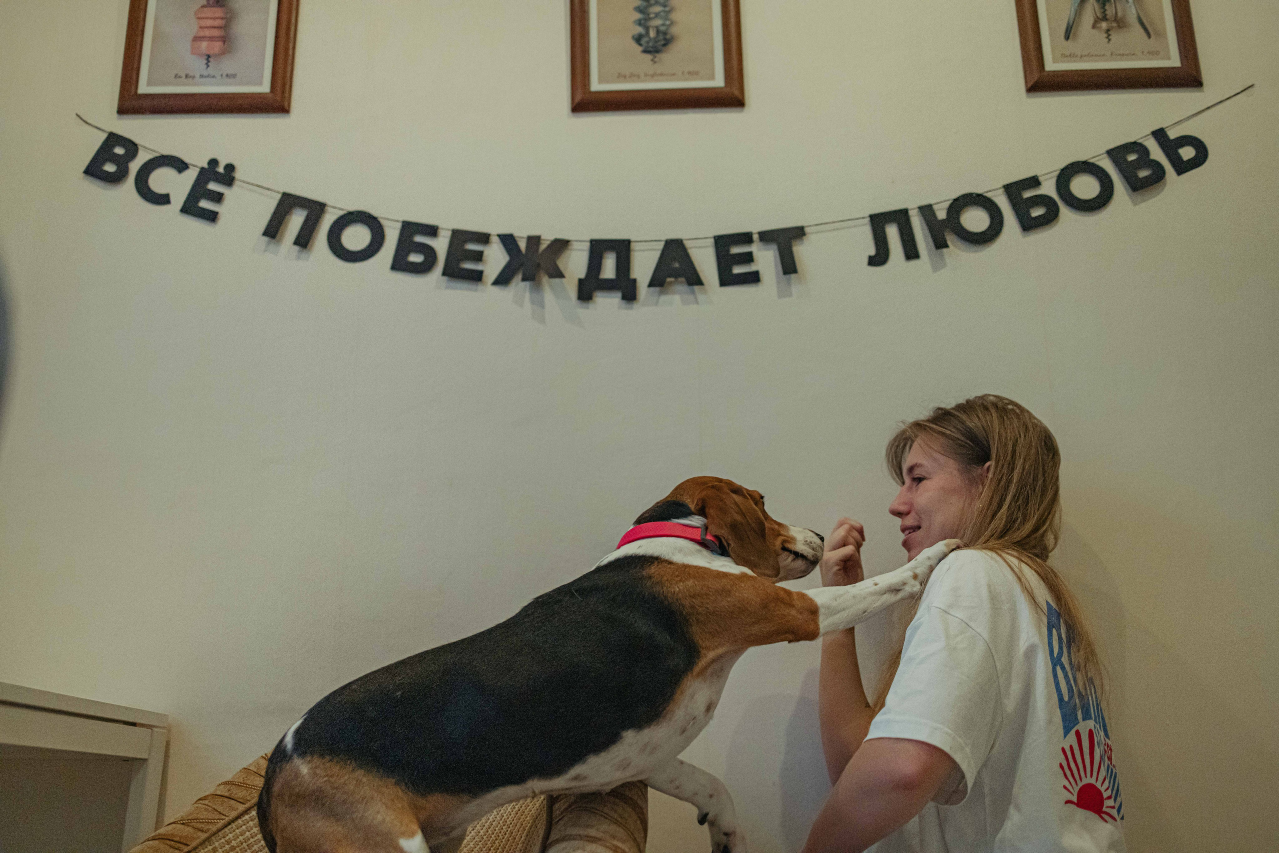 Света и Ива. Фотограф-анималист в Москве Лера Черноног